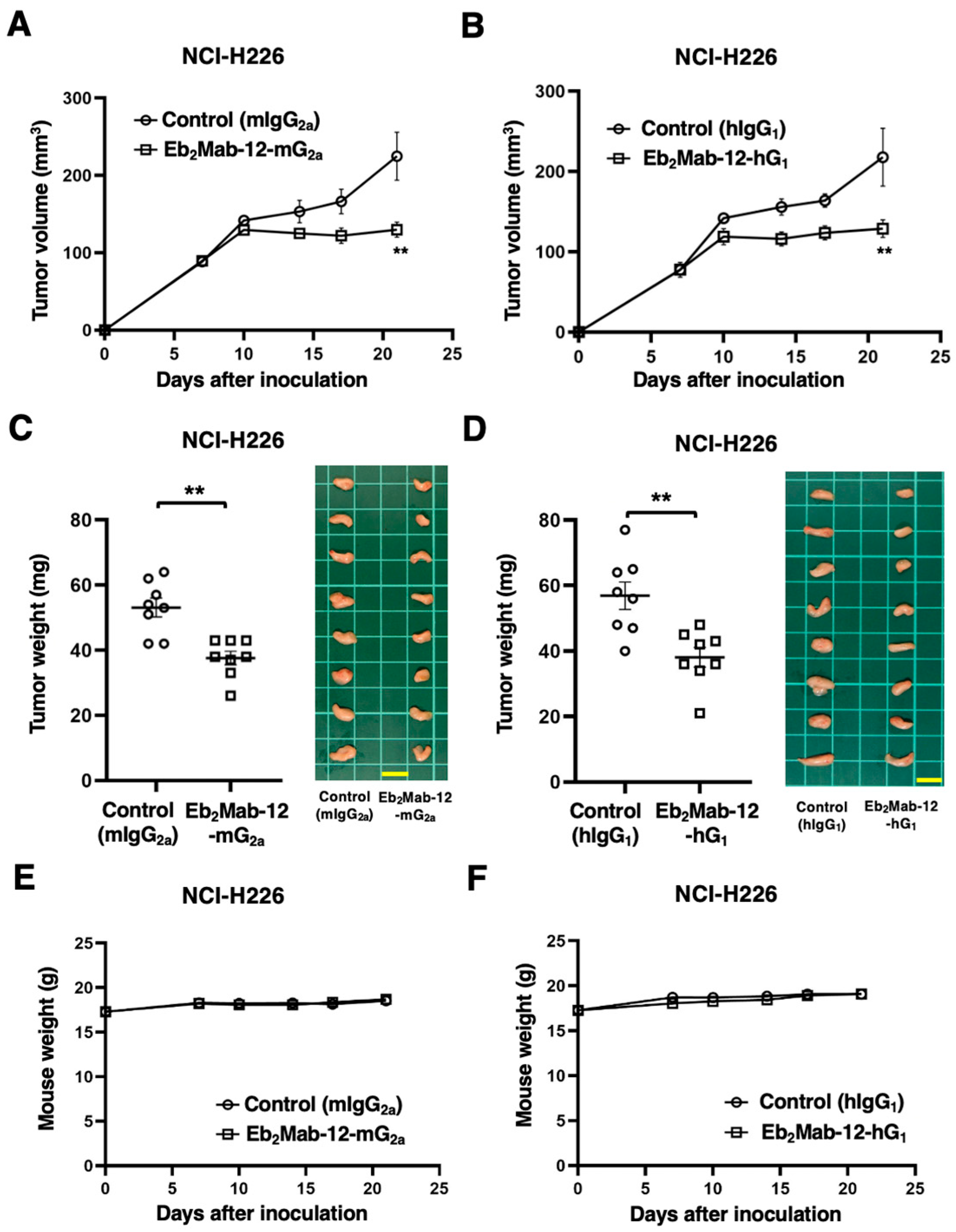 Ijms 26 08302 g007 Ijms 26 08302 g007