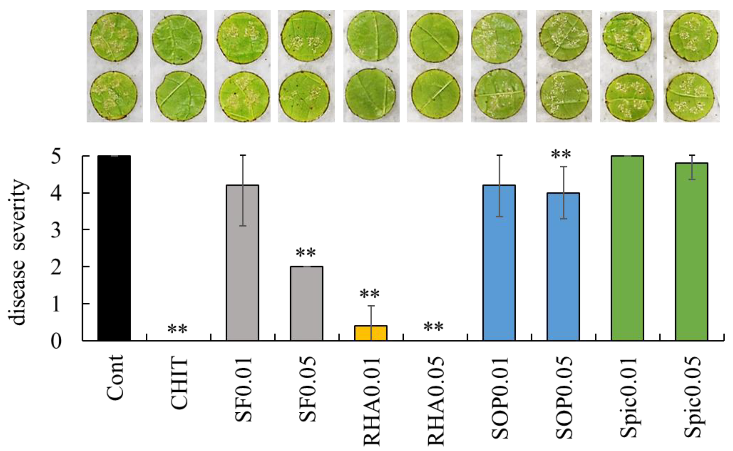 Ijms 26 08313 g001 Ijms 26 08313 g001