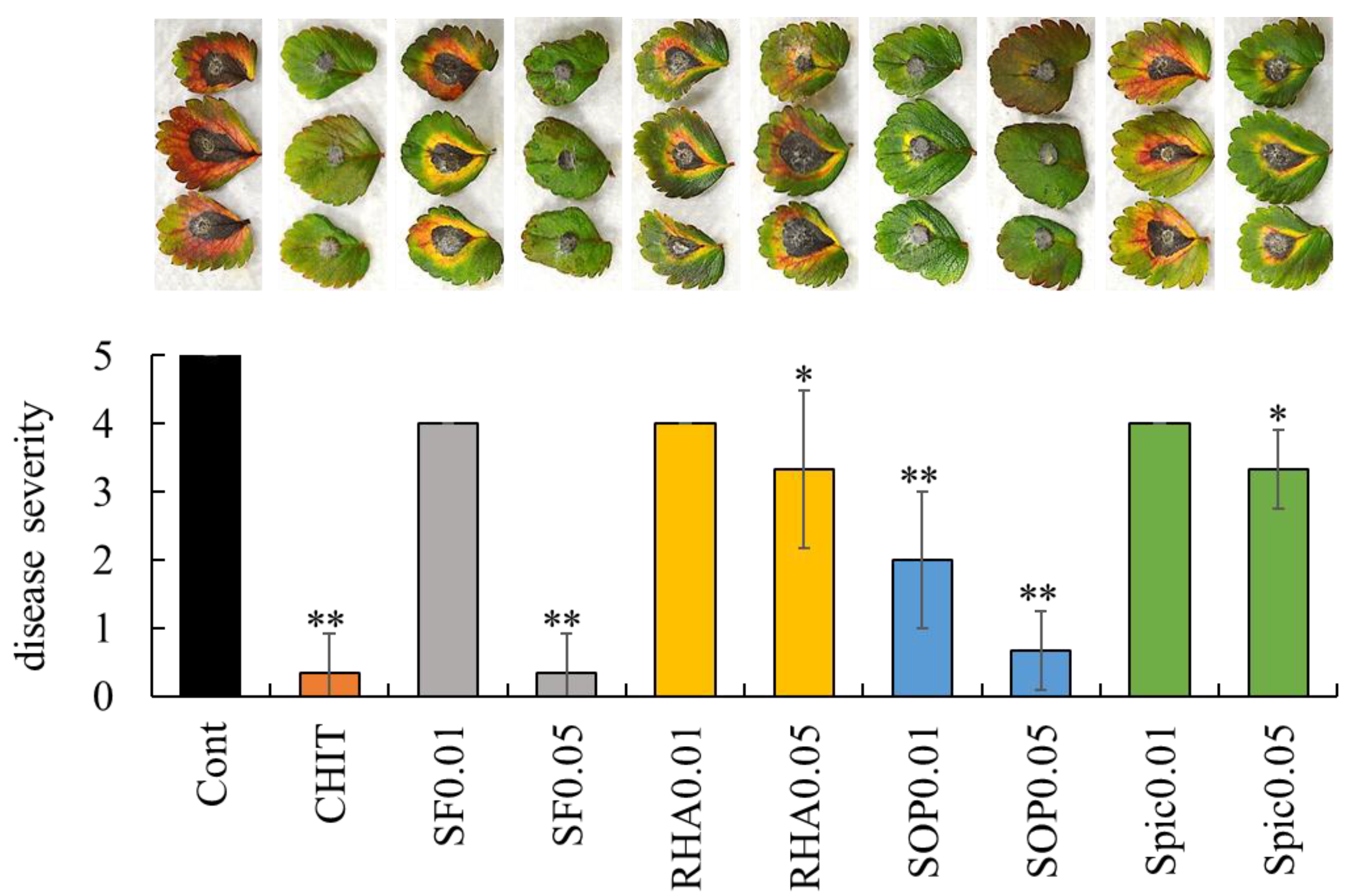 Ijms 26 08313 g002 Ijms 26 08313 g002