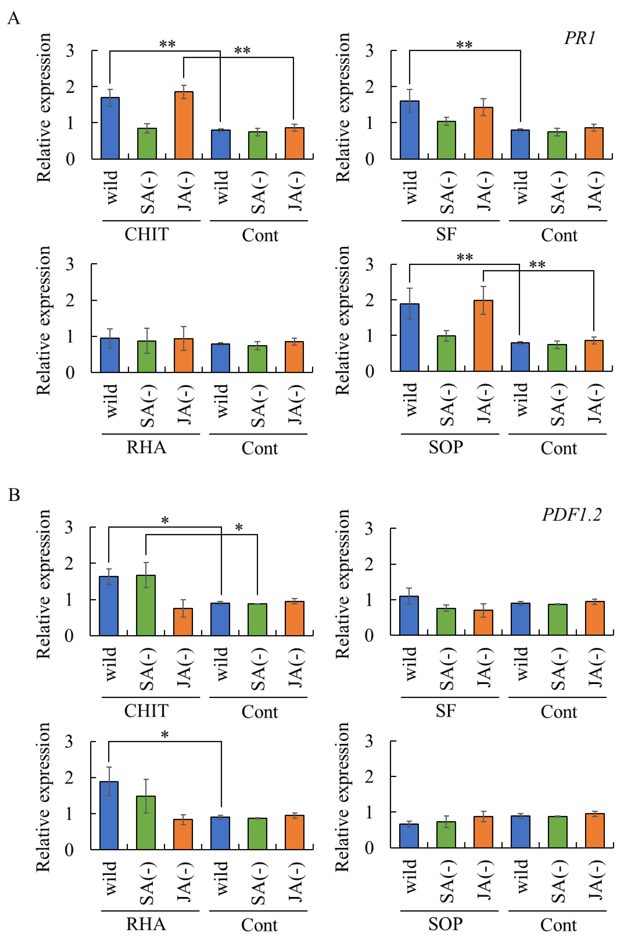 Ijms 26 08313 g004 Ijms 26 08313 g004