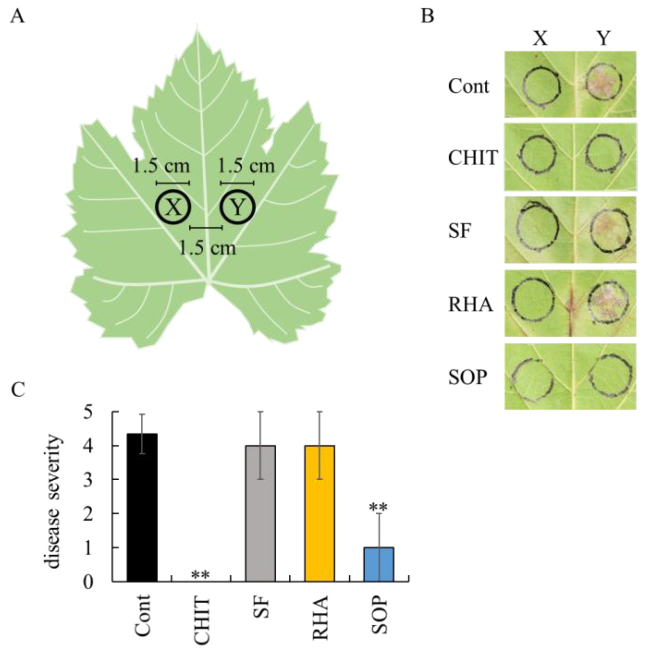 Ijms 26 08313 g005 Ijms 26 08313 g005