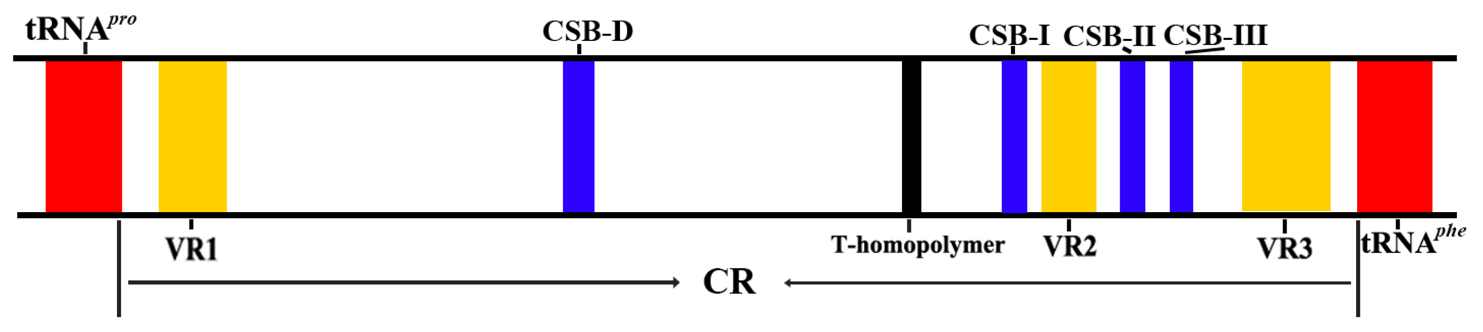 Ijms 26 08317 g001 Ijms 26 08317 g001