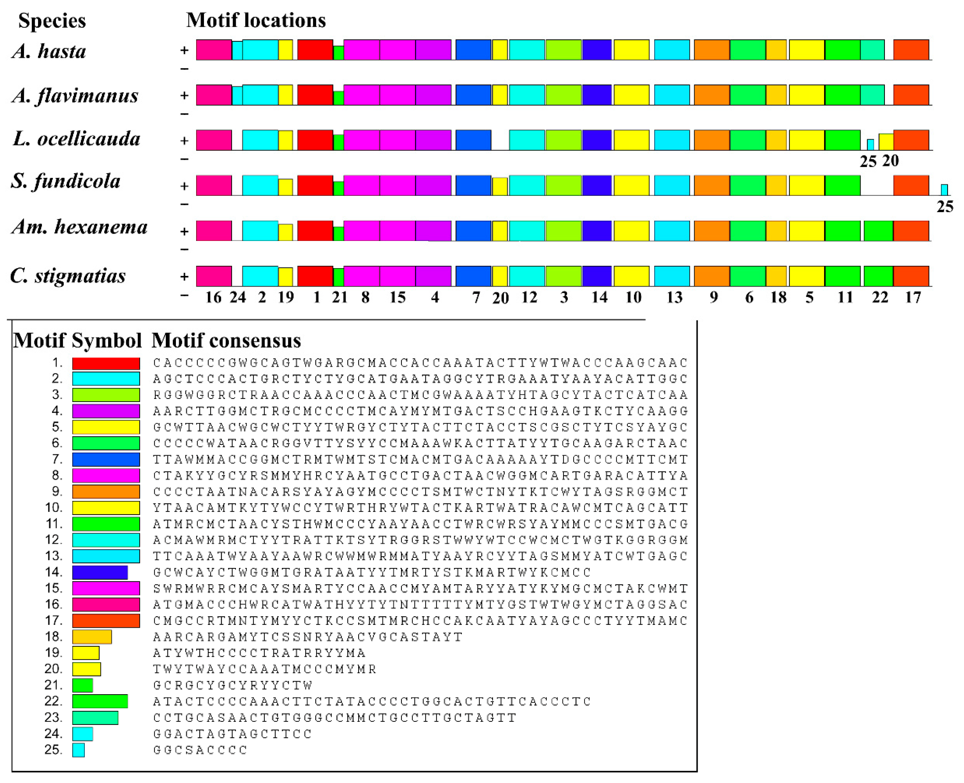 Ijms 26 08317 g009 Ijms 26 08317 g009