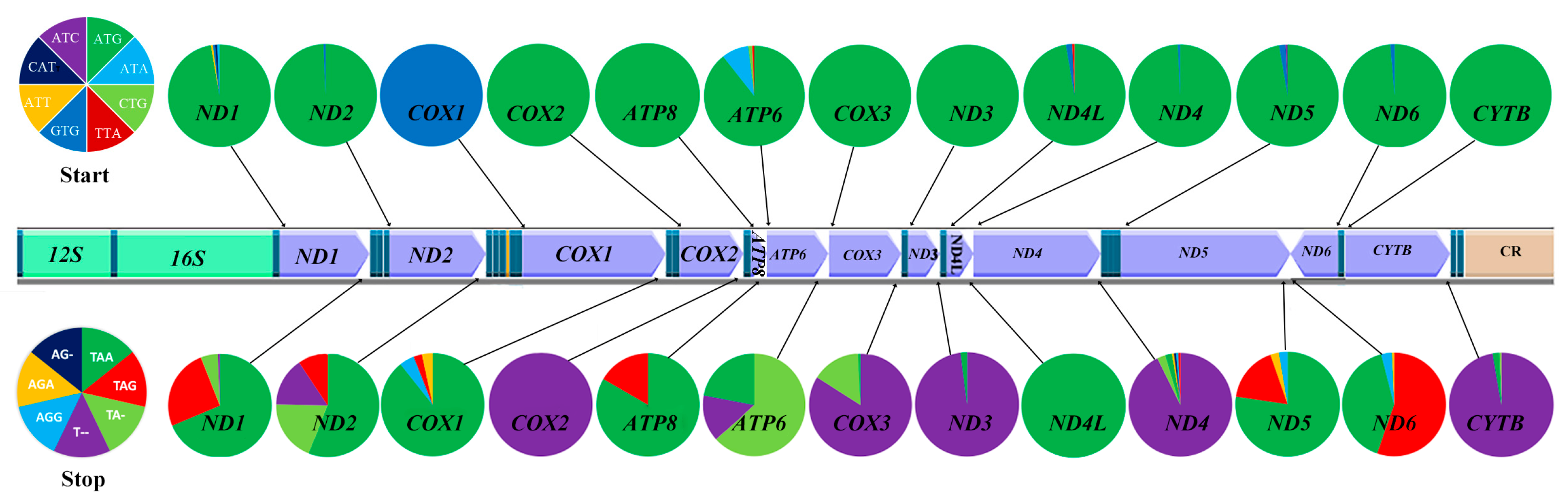 Ijms 26 08317 g011 Ijms 26 08317 g011