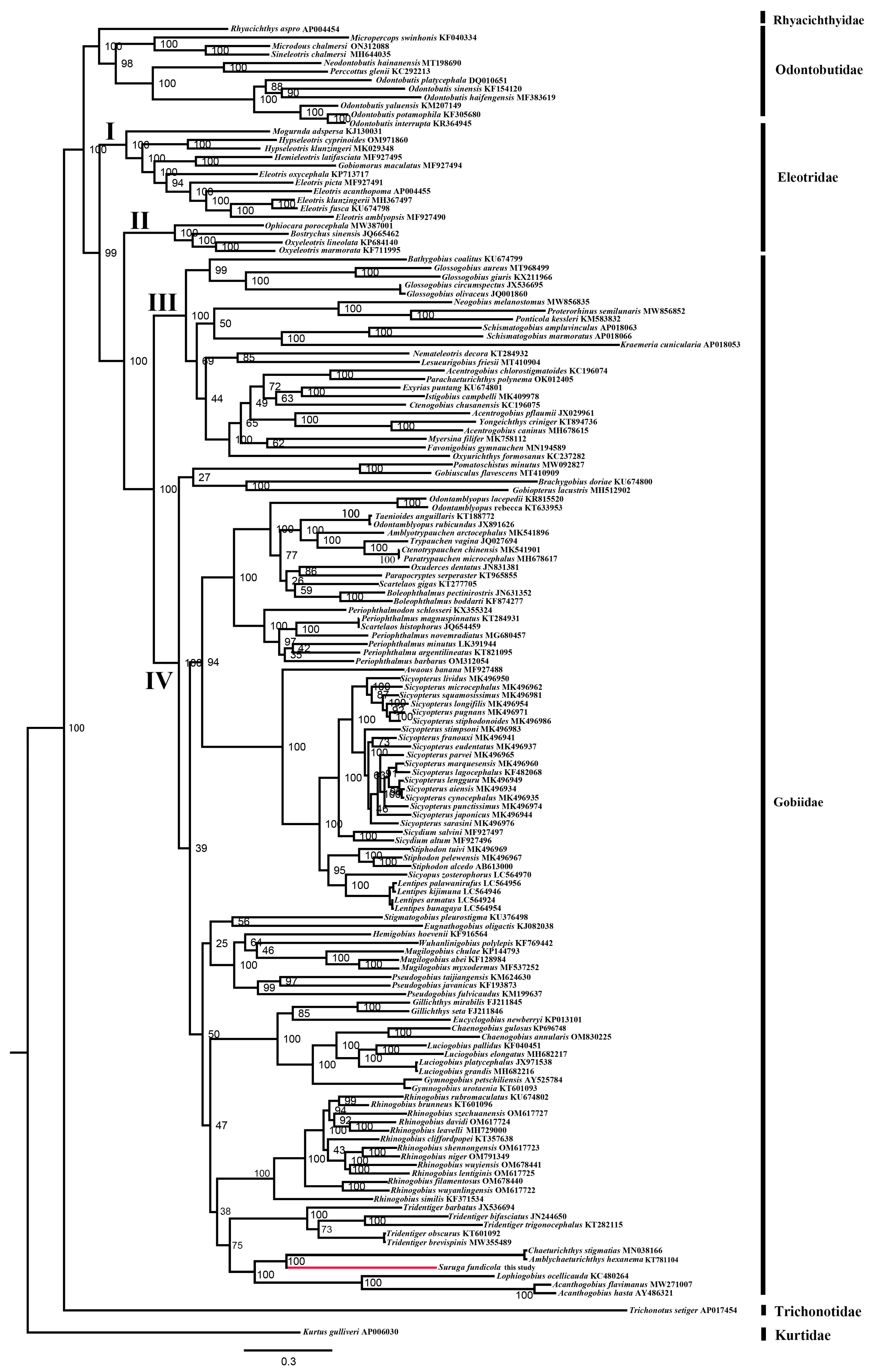 Ijms 26 08317 g012 Ijms 26 08317 g012