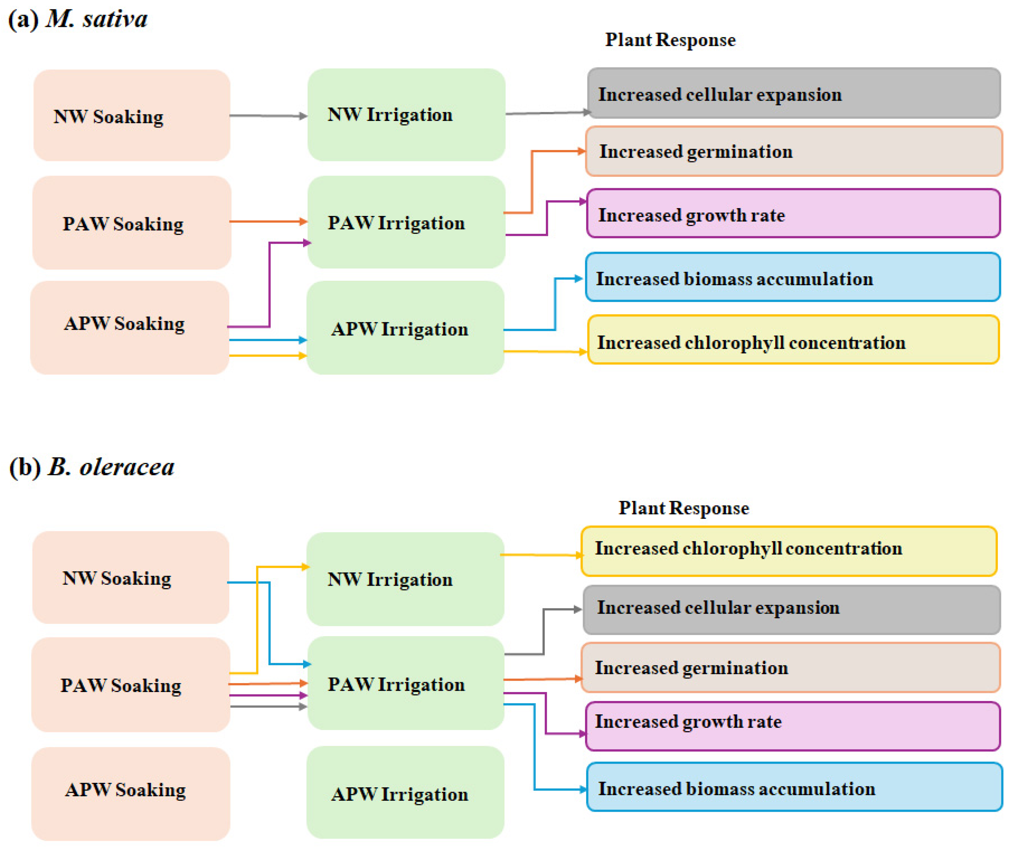 Ijms 26 08318 g001 Ijms 26 08318 g001