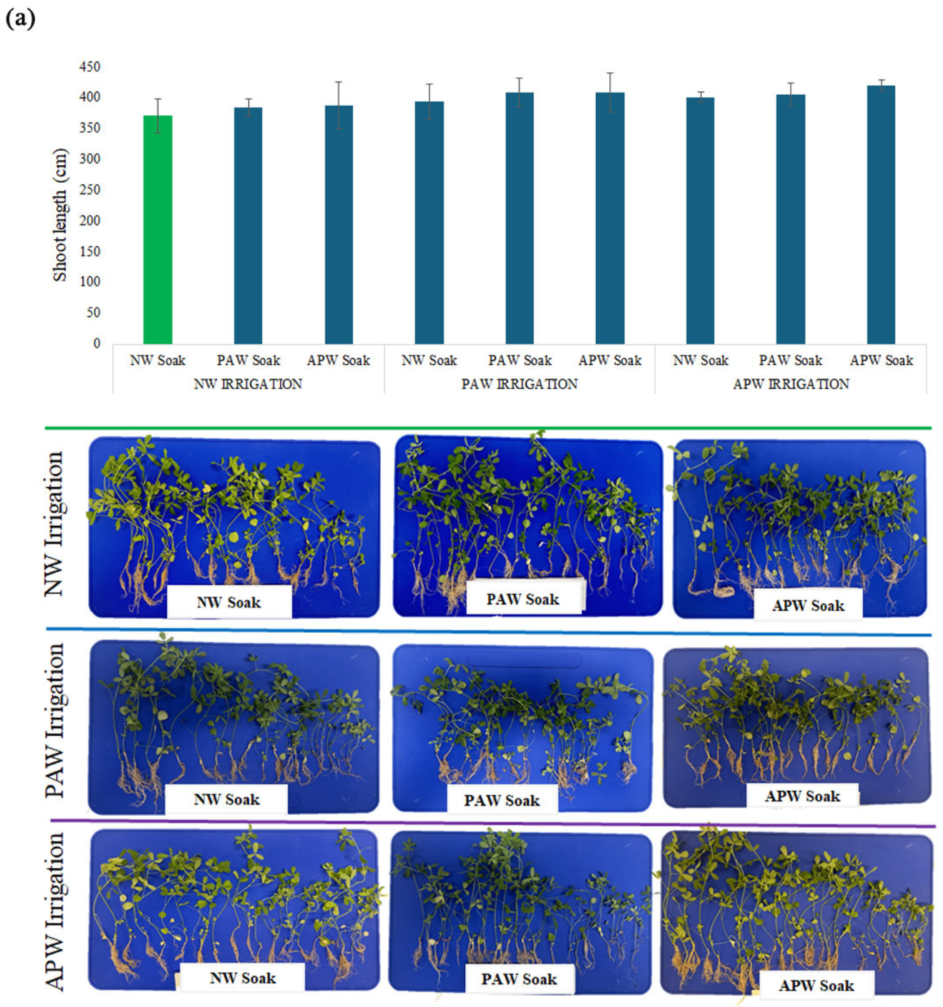 Ijms 26 08318 g004a Ijms 26 08318 g004a