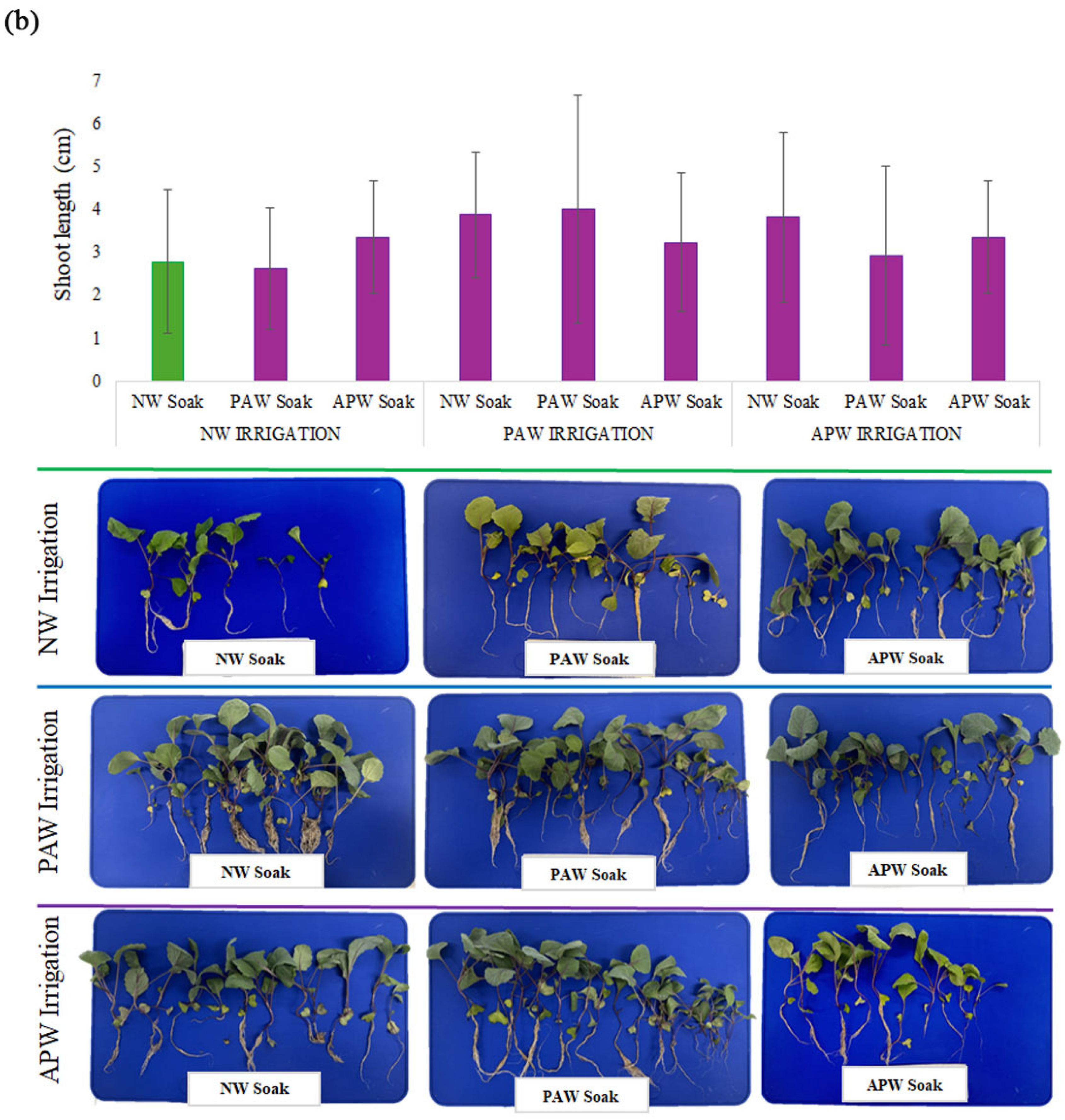 Ijms 26 08318 g004b Ijms 26 08318 g004b