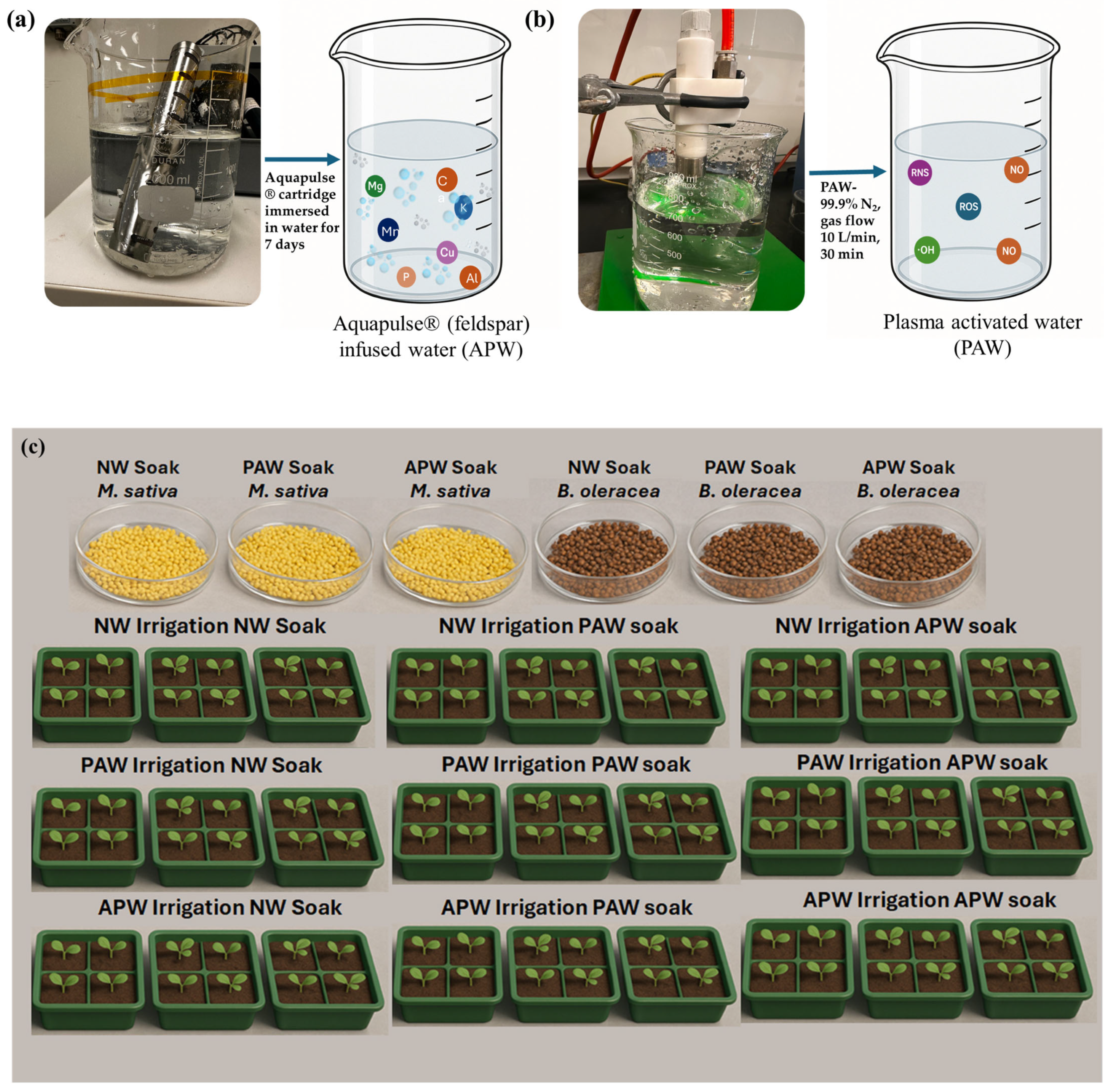 Ijms 26 08318 g008 Ijms 26 08318 g008