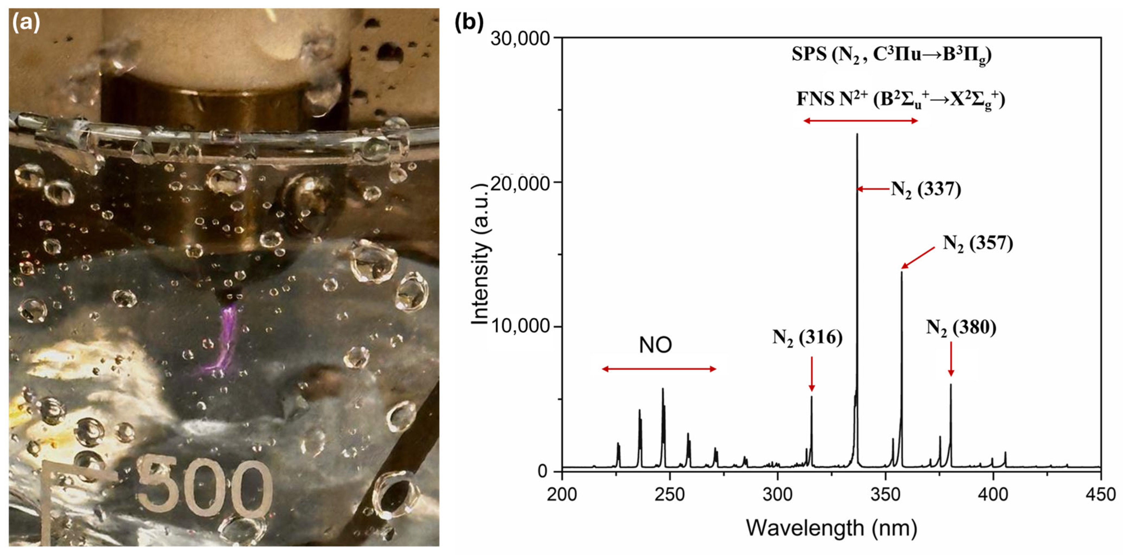 Ijms 26 08318 g009 Ijms 26 08318 g009