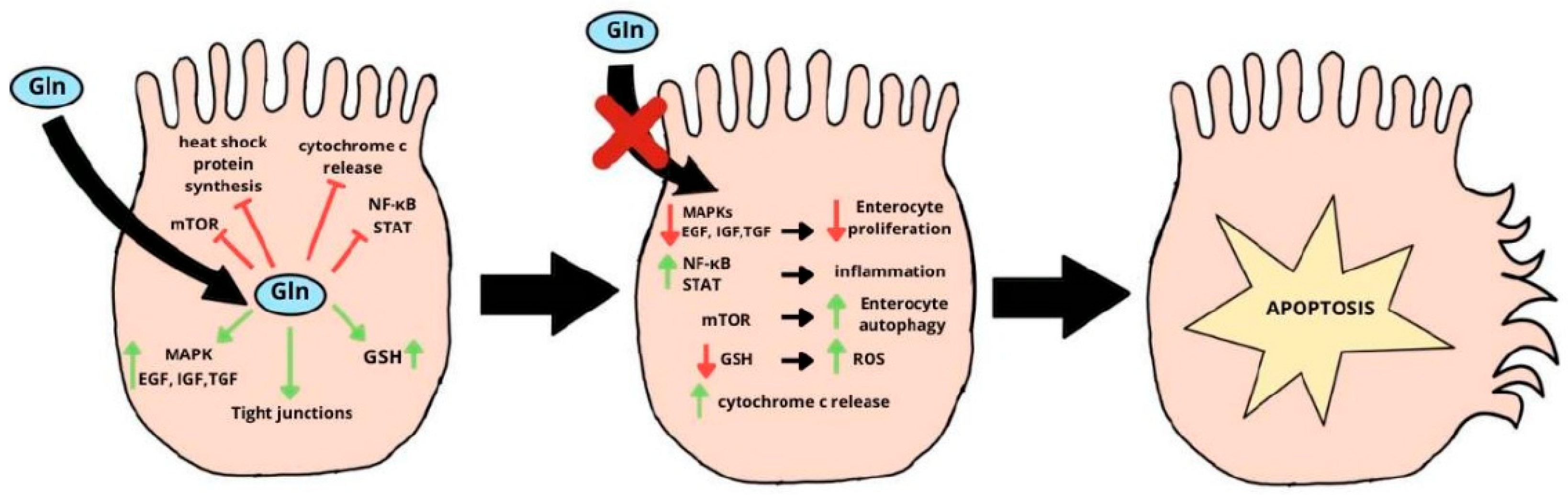 Ijms 26 08330 g002 Ijms 26 08330 g002