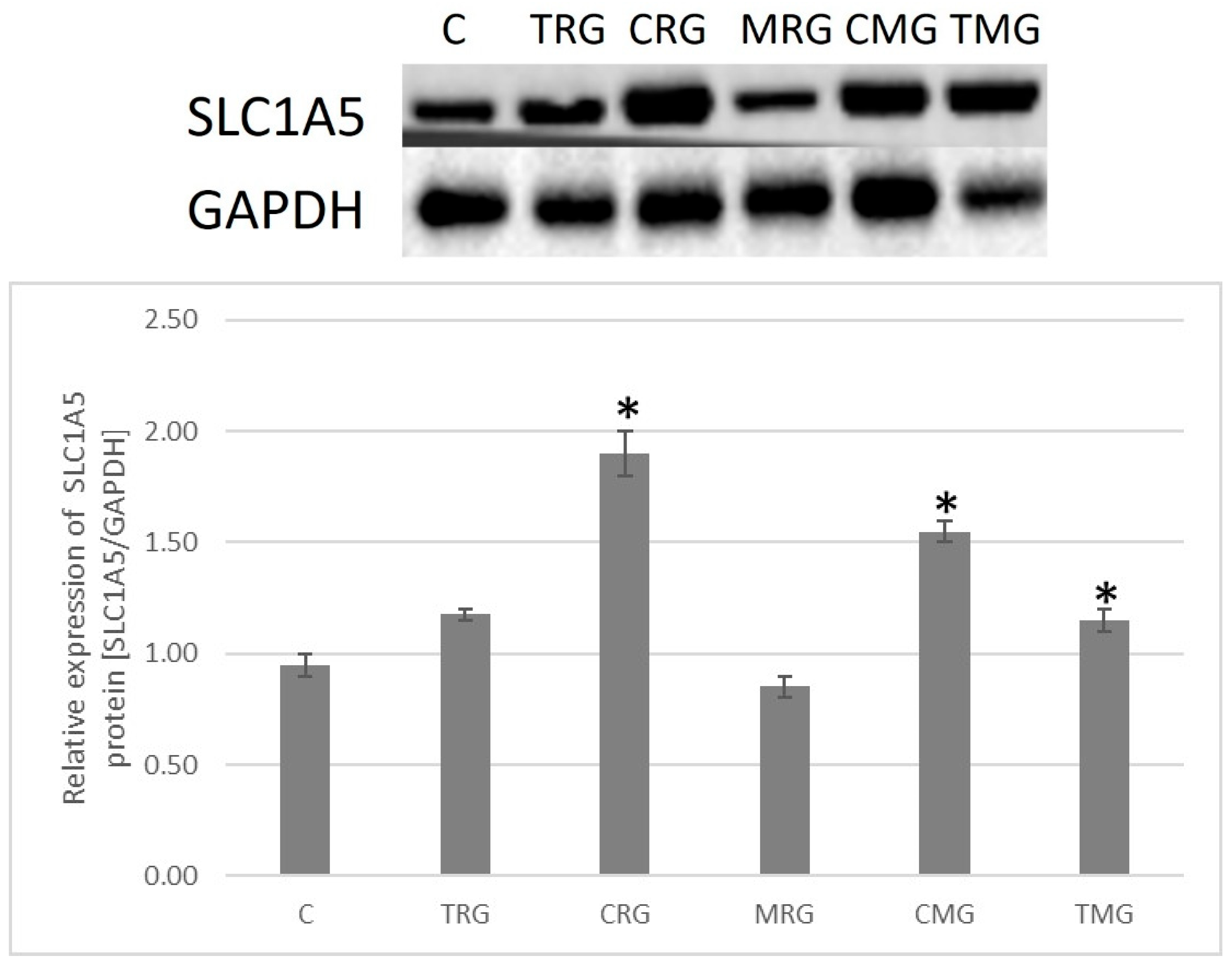 Ijms 26 08330 g010 Ijms 26 08330 g010