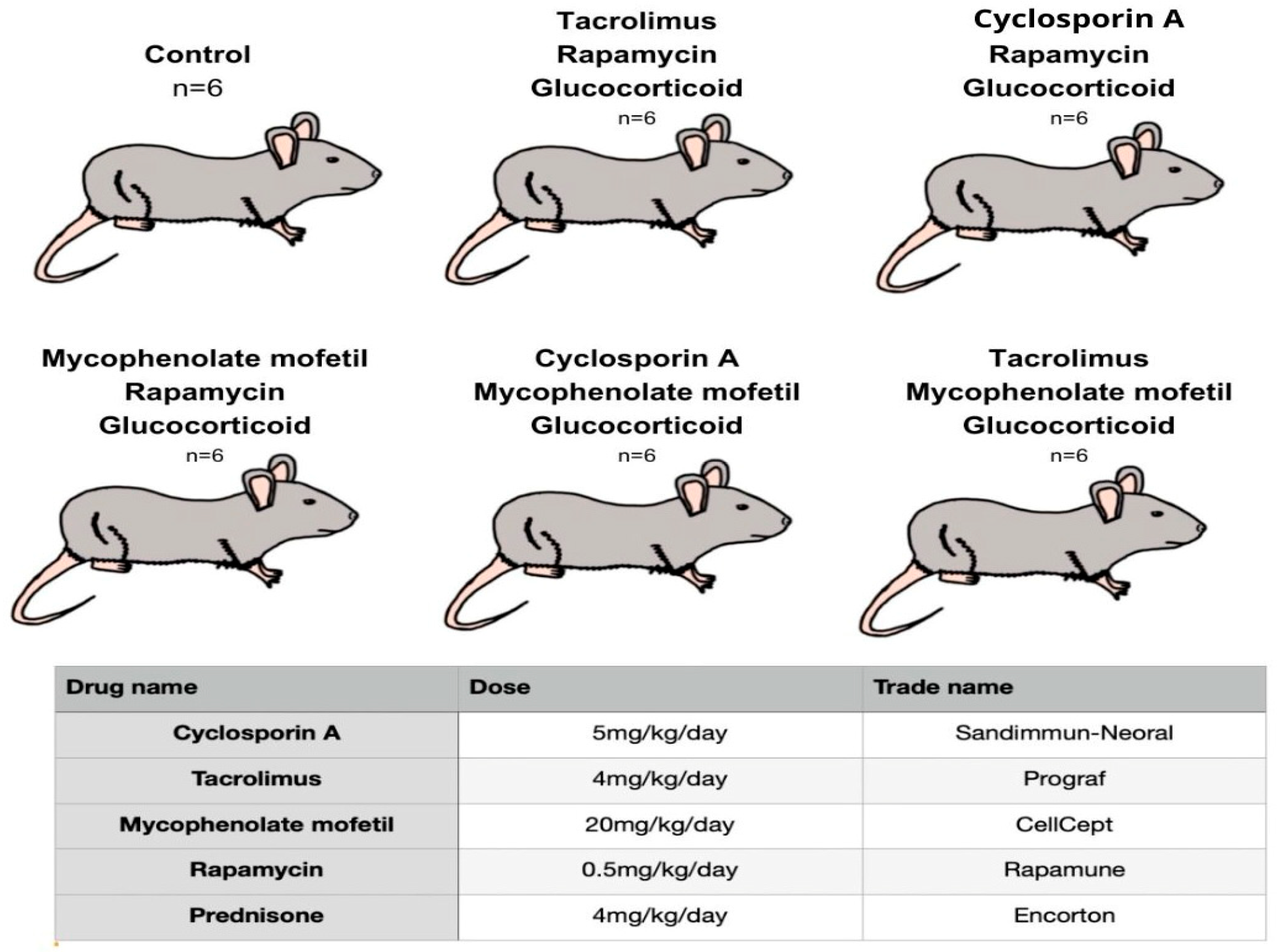 Ijms 26 08330 g012 Ijms 26 08330 g012
