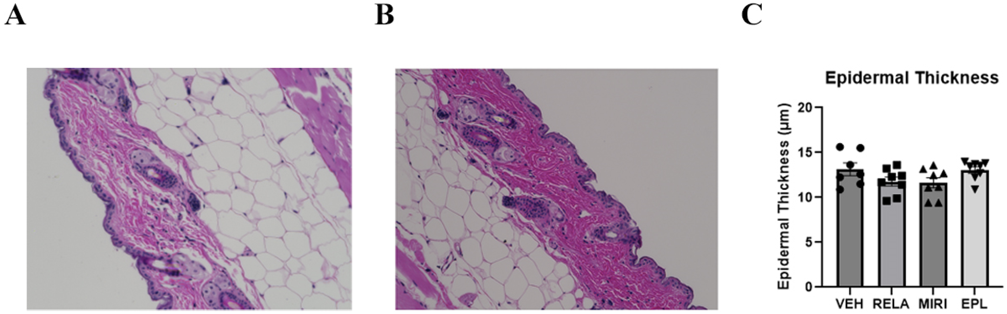 Ijms 26 08346 g003 Ijms 26 08346 g003