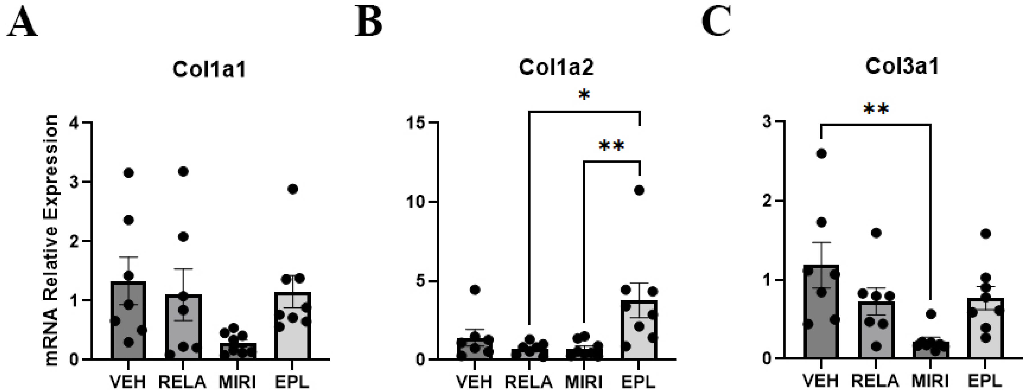 Ijms 26 08346 g006 Ijms 26 08346 g006