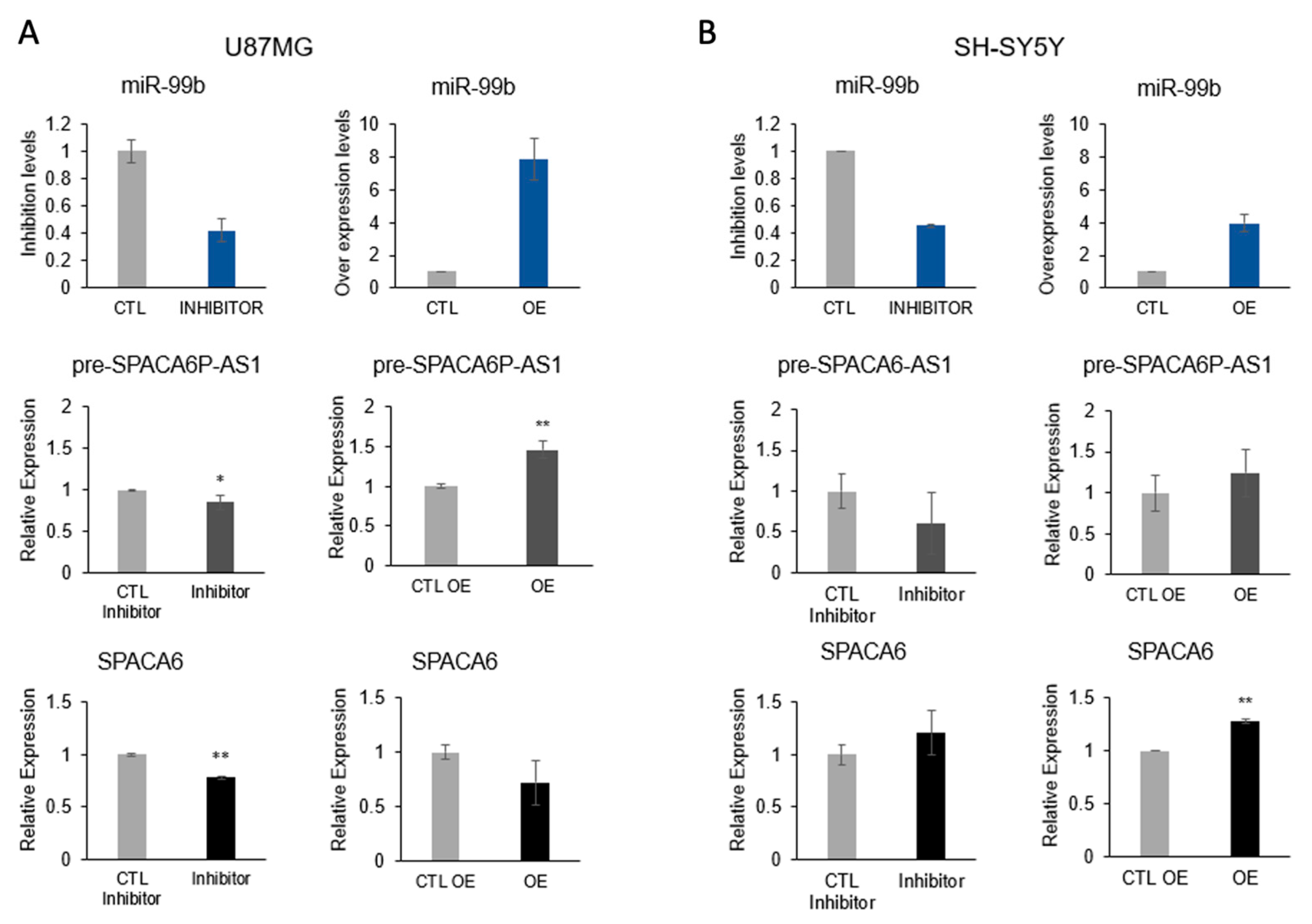 Ijms 26 08349 g006 Ijms 26 08349 g006