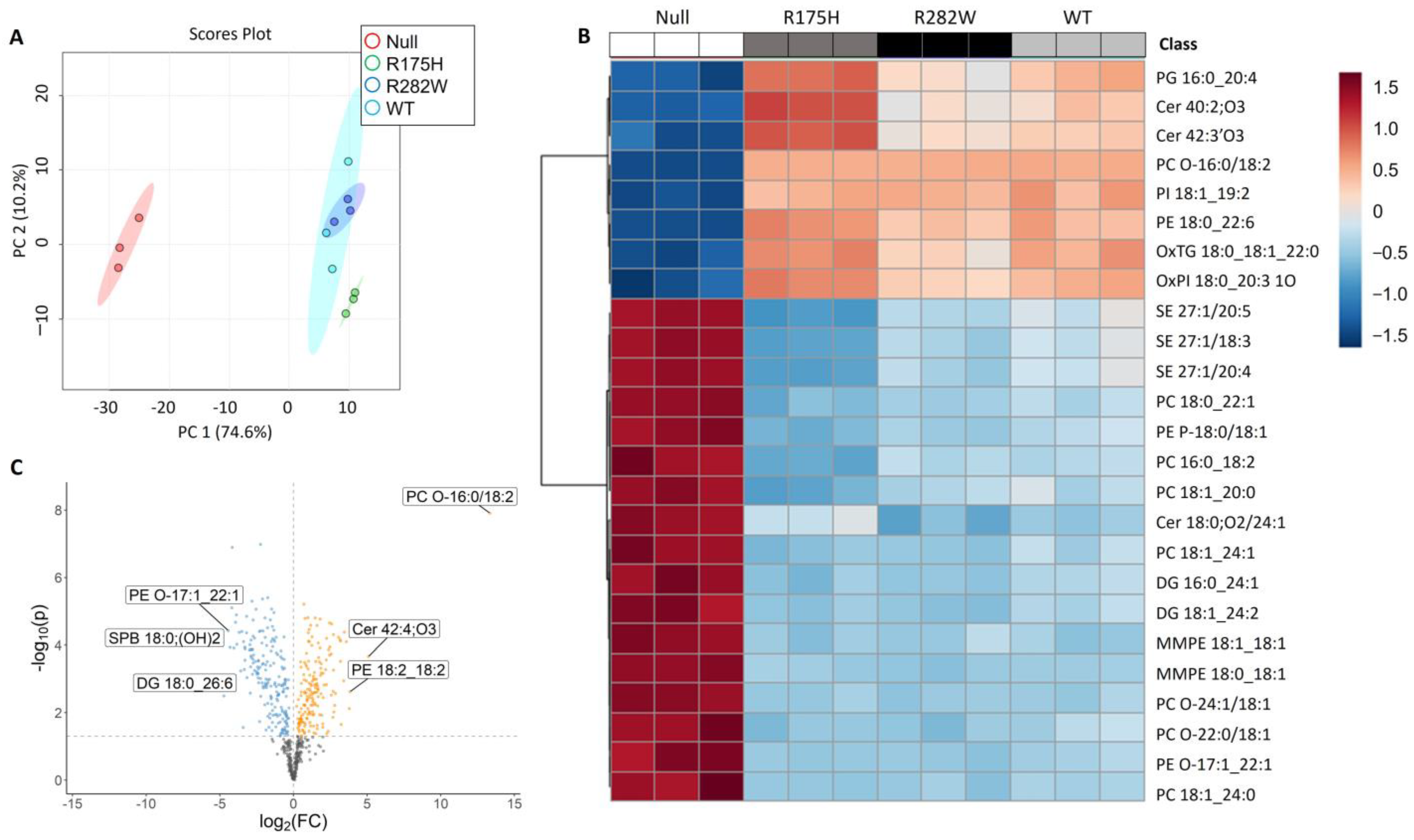 Ijms 26 08359 g001 Ijms 26 08359 g001