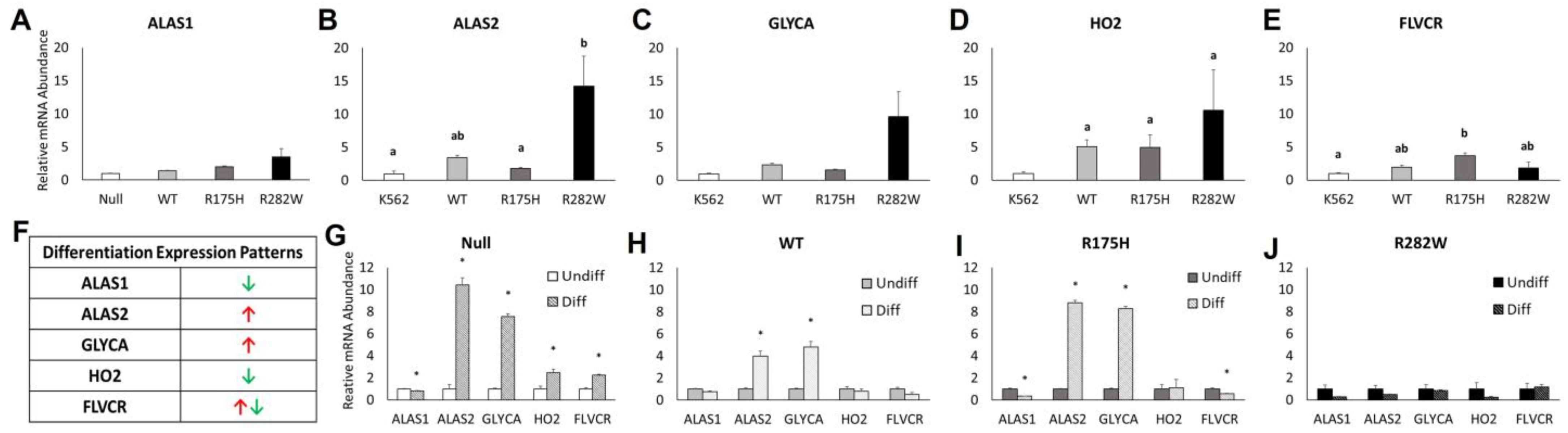 Ijms 26 08359 g005 Ijms 26 08359 g005