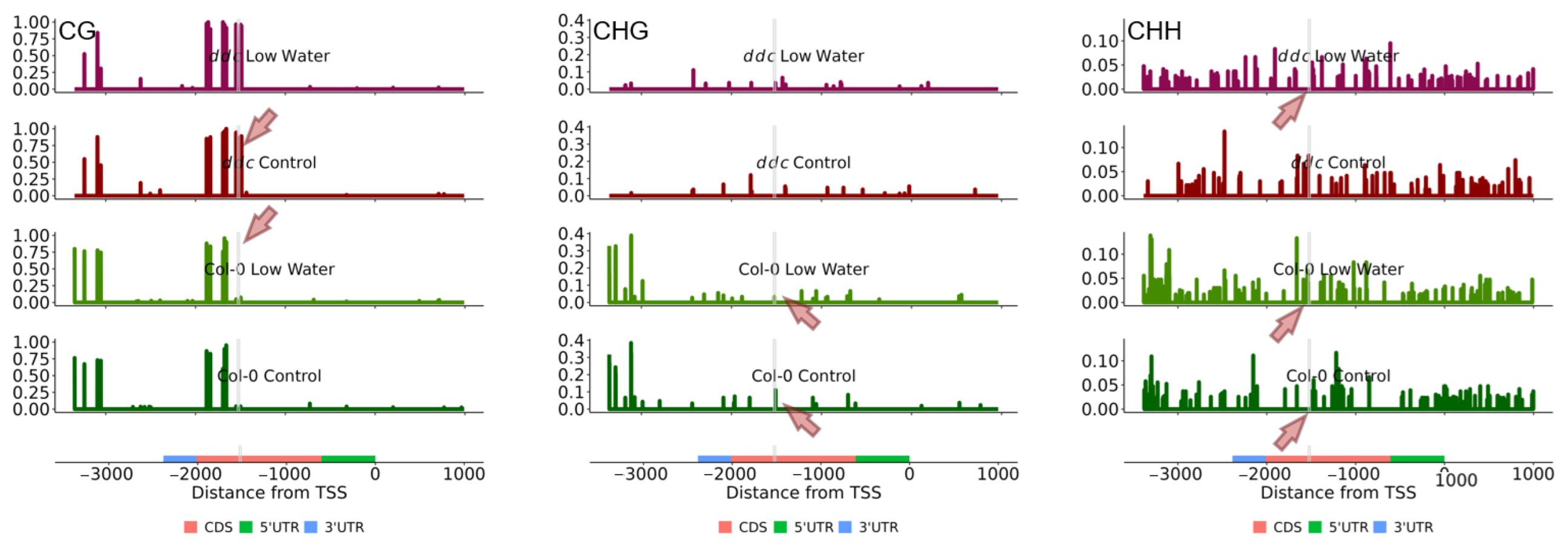 Ijms 26 08360 g006 Ijms 26 08360 g006