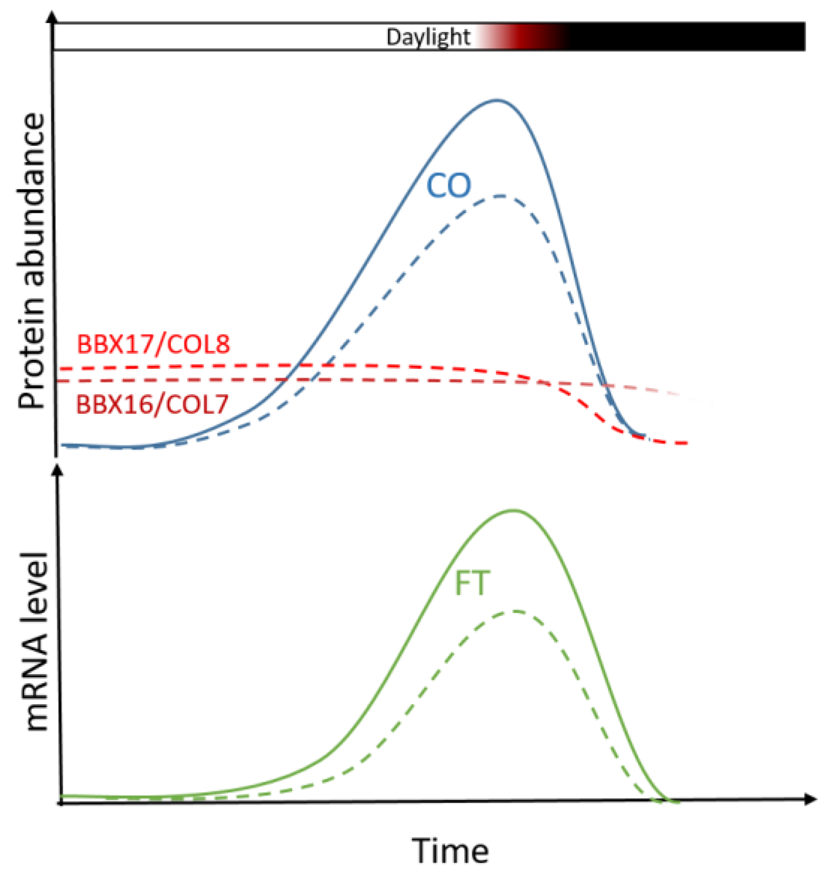 Ijms 26 08360 g007 Ijms 26 08360 g007