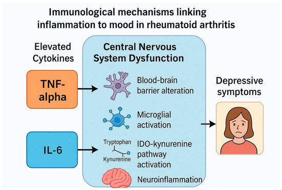 bpc-157 anti-inflammatory effects tnf-α il-6 Beyond Joints: Neuropsychiatric Benefits of and Inhibitors in Rheumatoid Arthritis—Narrative Review The role of TNF-α in