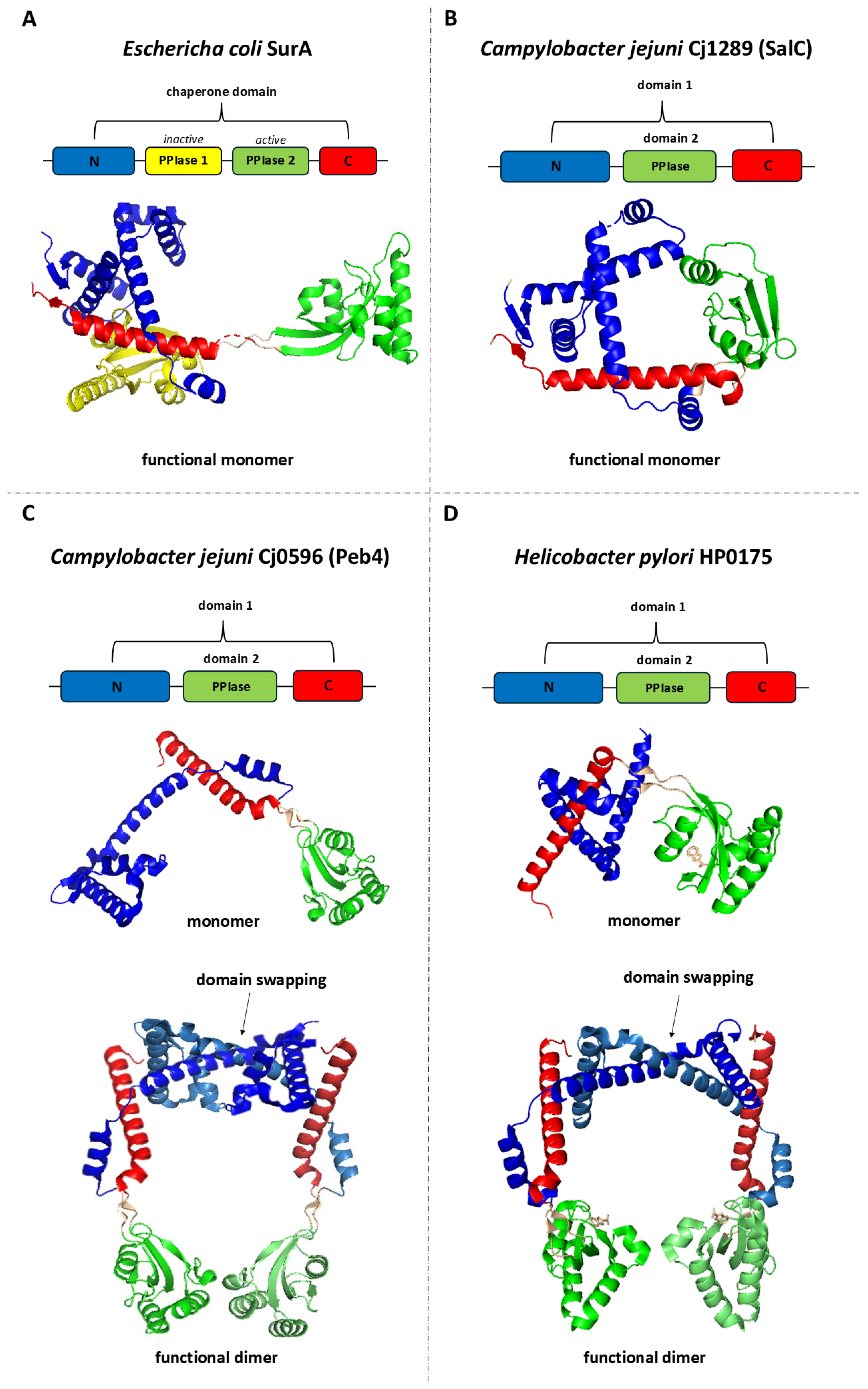 Ijms 26 08371 g002 Ijms 26 08371 g002