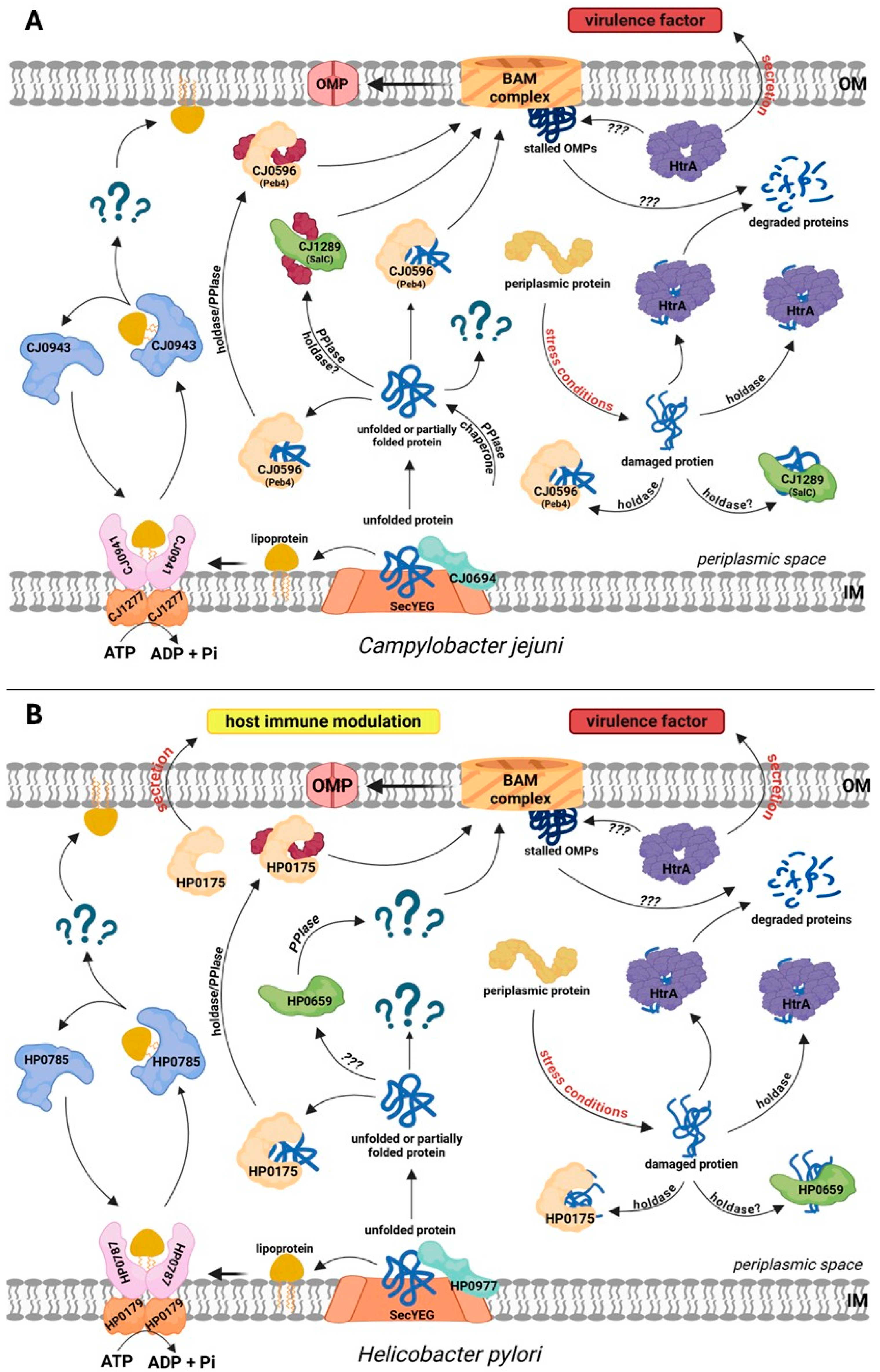 Ijms 26 08371 g003 Ijms 26 08371 g003