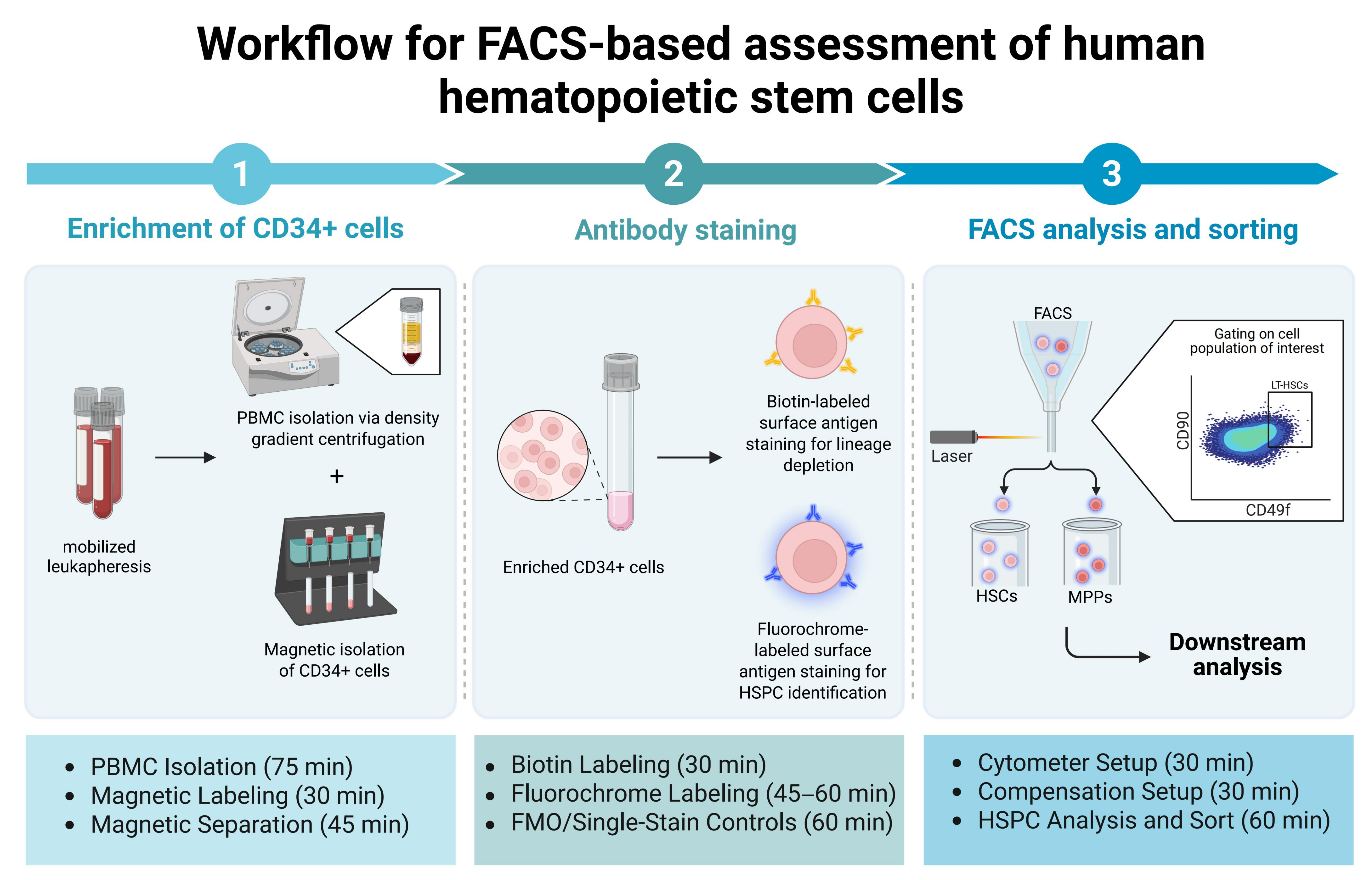 Ijms 26 08381 g001 Ijms 26 08381 g001