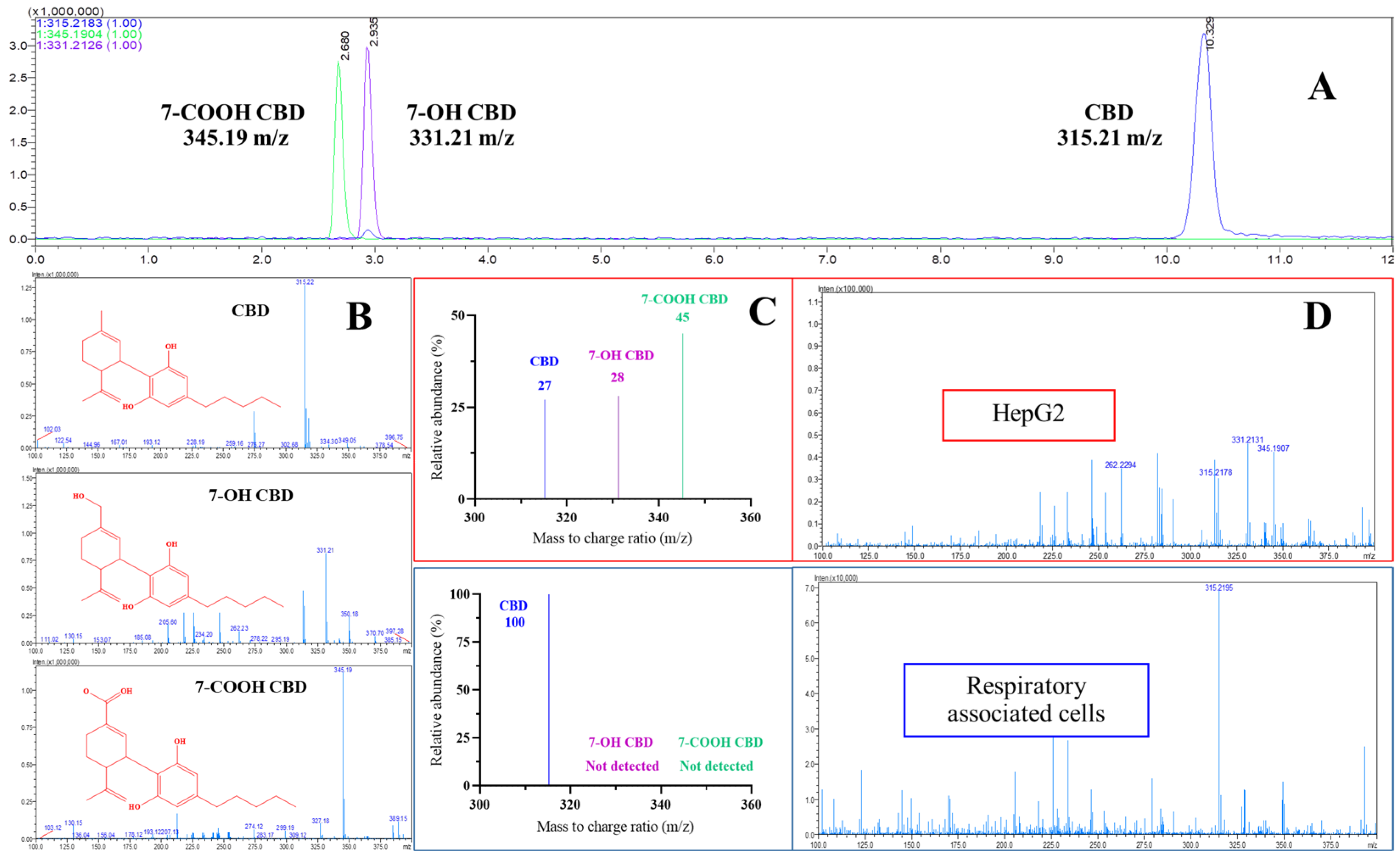 Ijms 26 08384 g003 Ijms 26 08384 g003