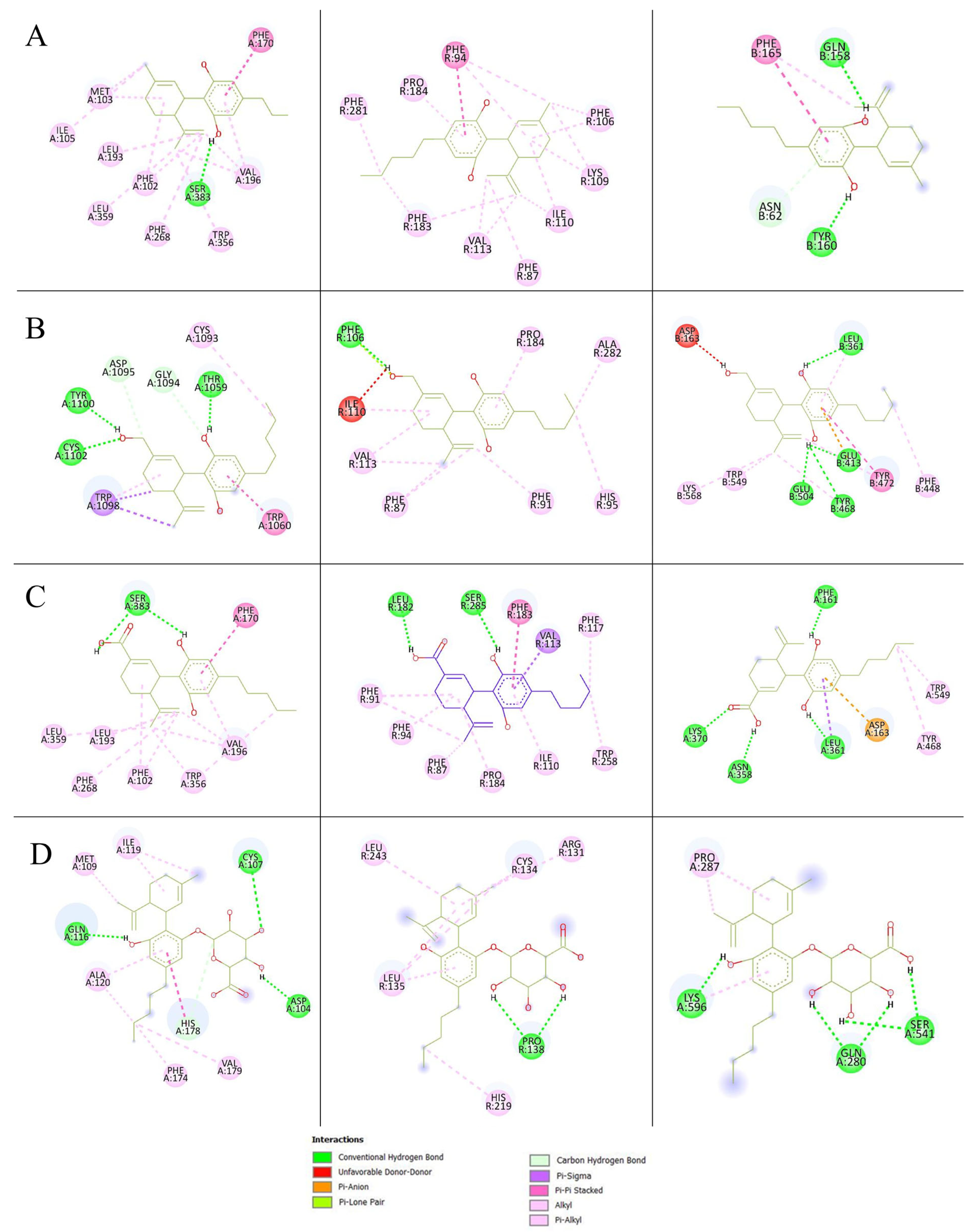 Ijms 26 08384 g004 Ijms 26 08384 g004