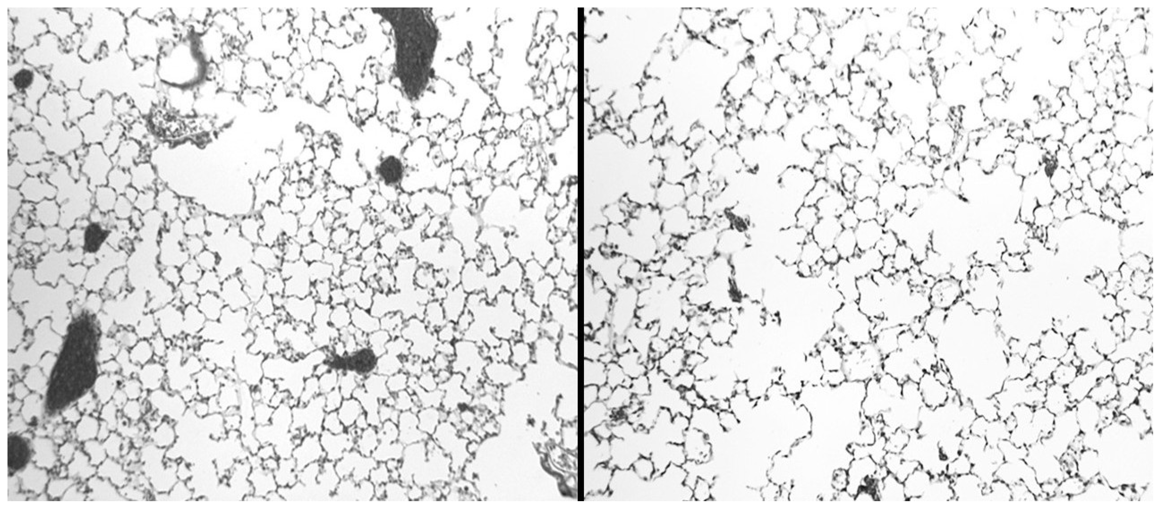 Ijms 26 08386 g008 Ijms 26 08386 g008