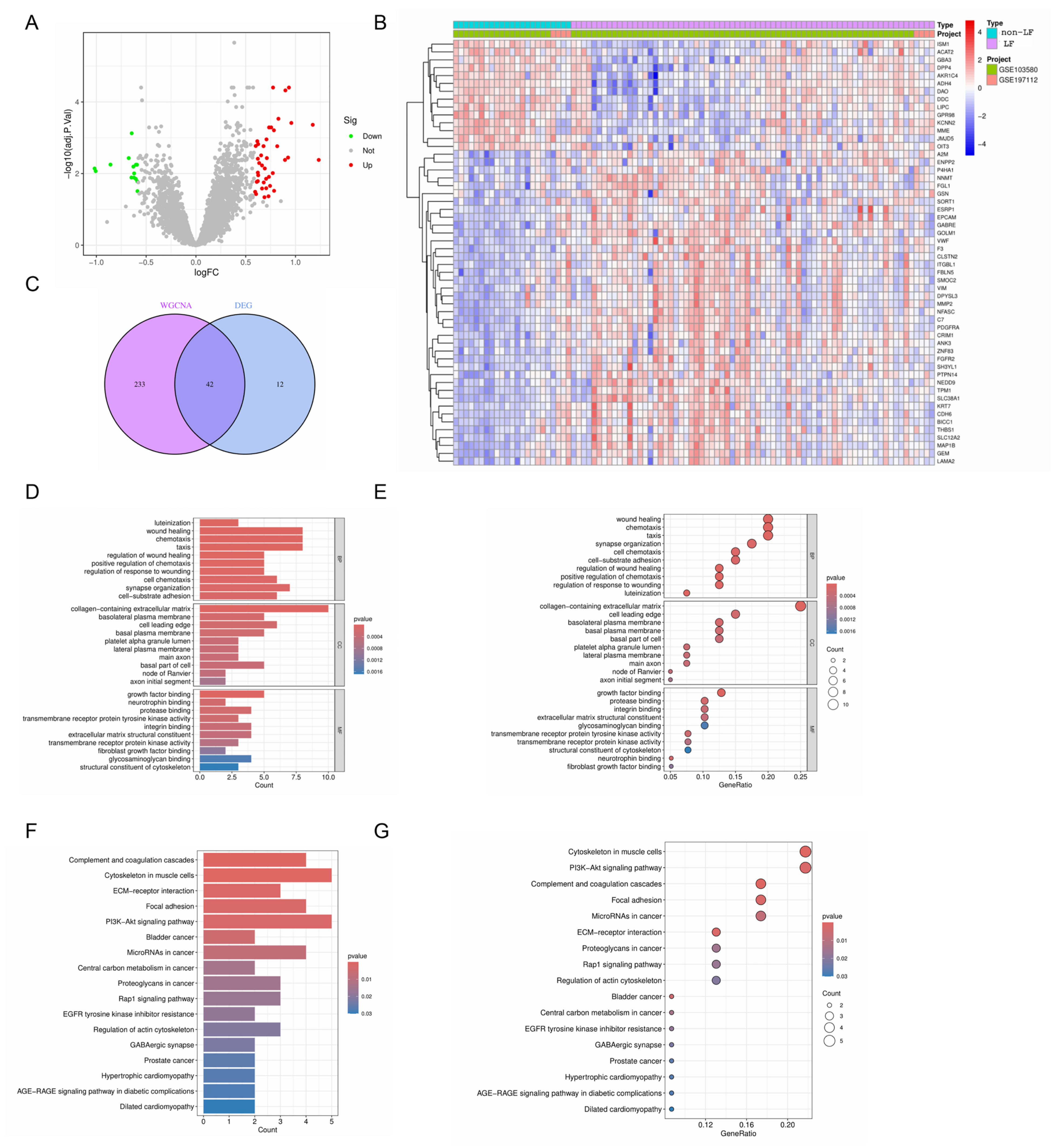 Ijms 26 08387 g004 Ijms 26 08387 g004