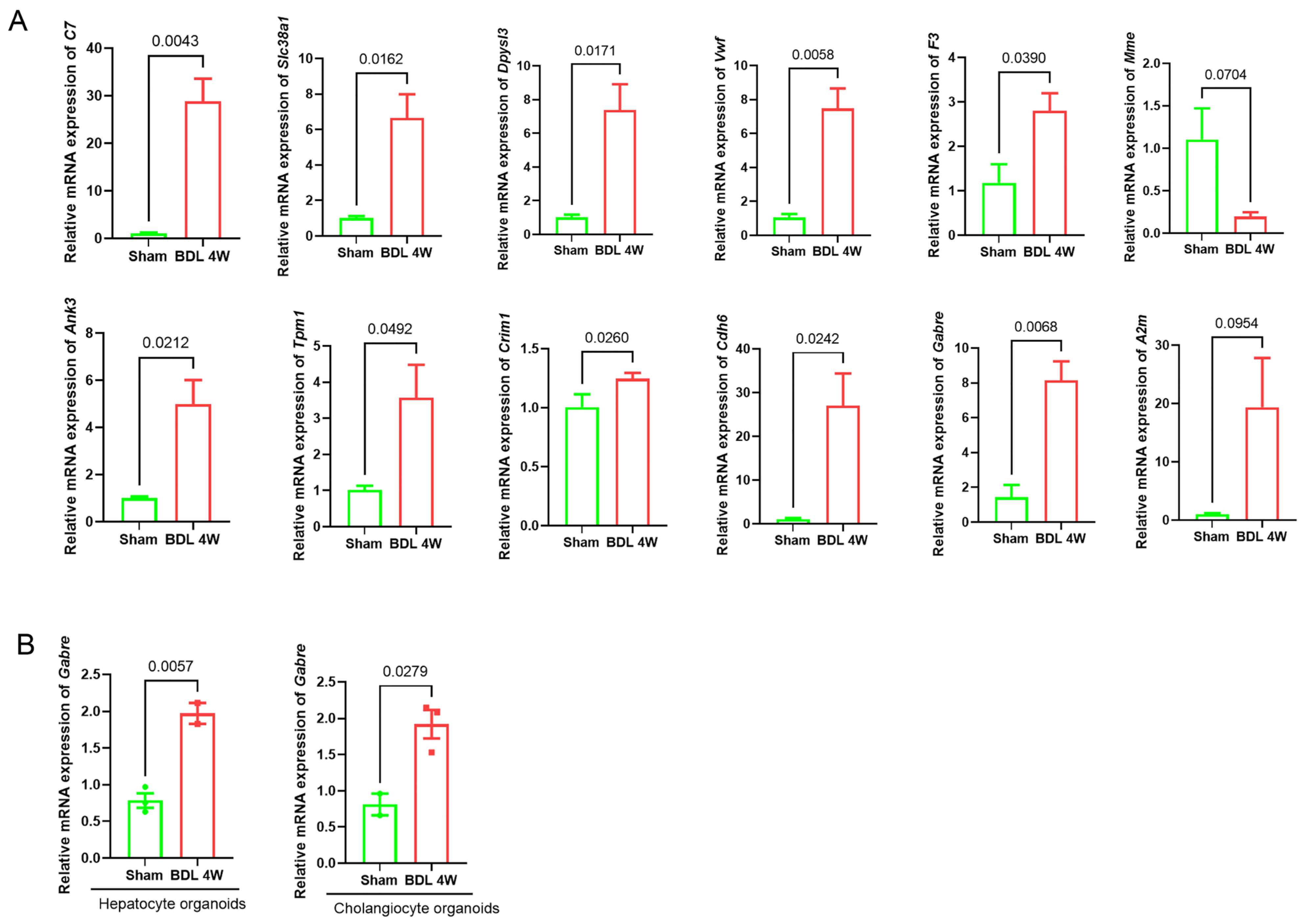 Ijms 26 08387 g007 Ijms 26 08387 g007