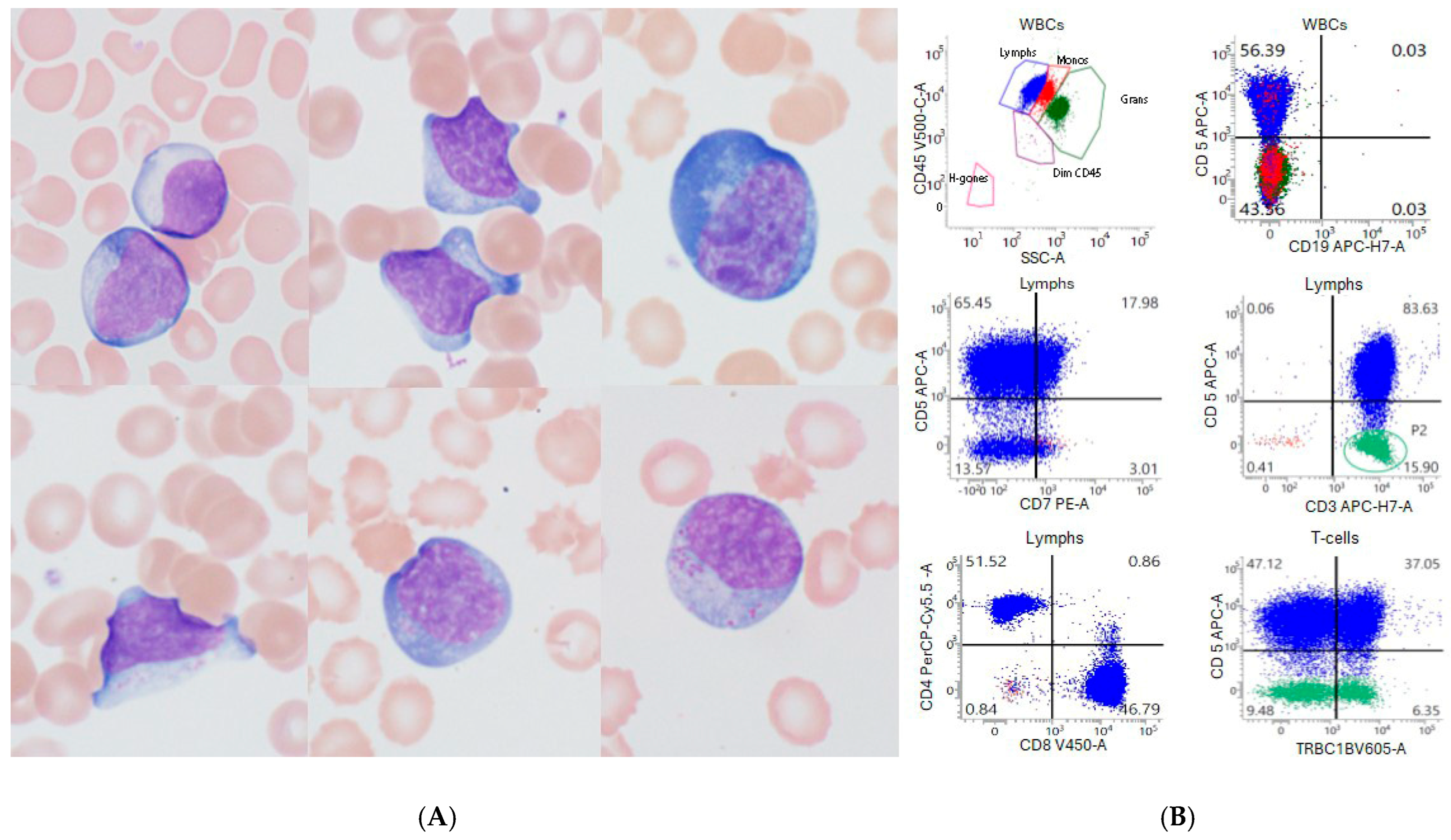 Ijms 26 08388 g002 Ijms 26 08388 g002