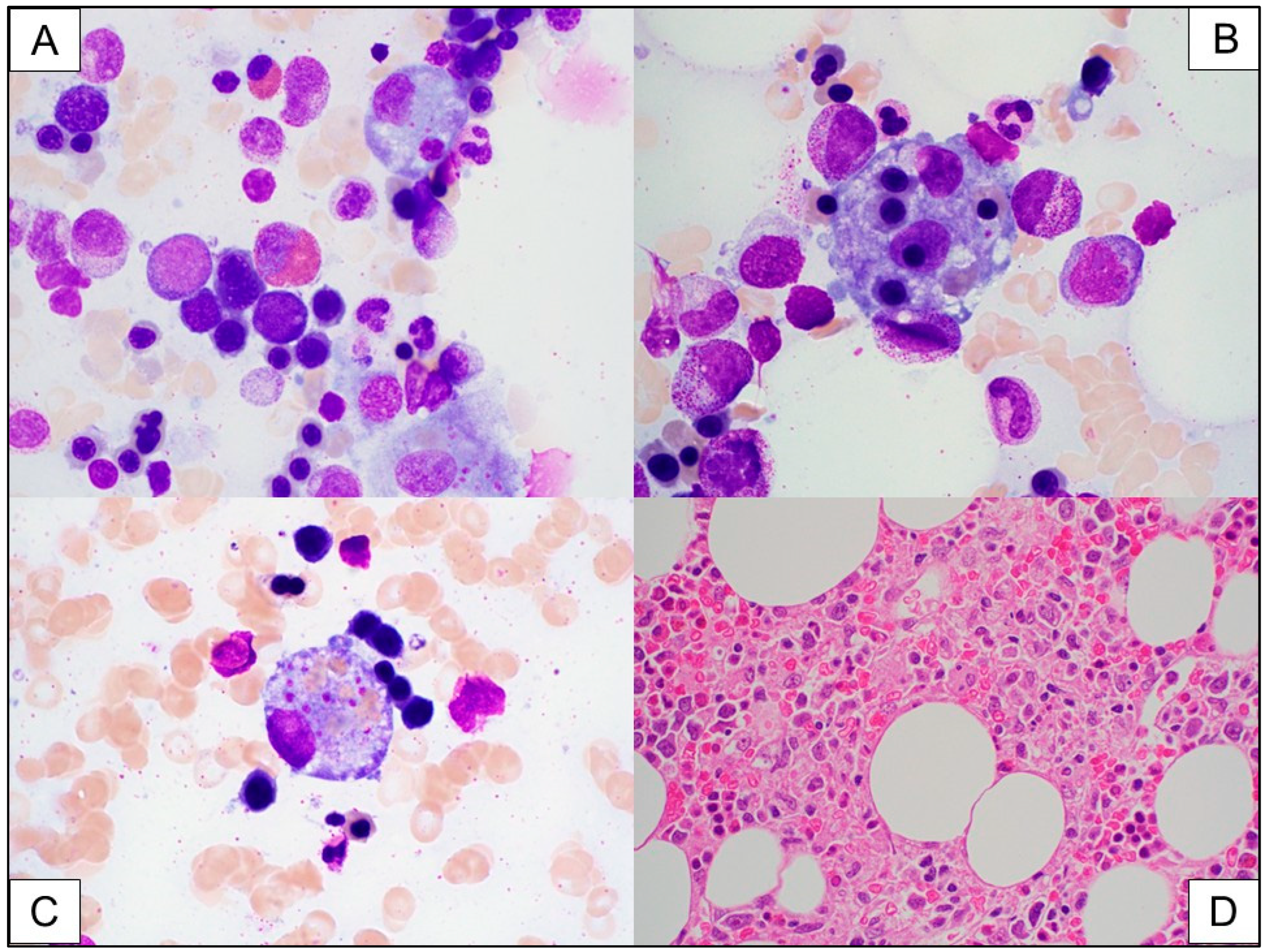 Ijms 26 08388 g003 Ijms 26 08388 g003