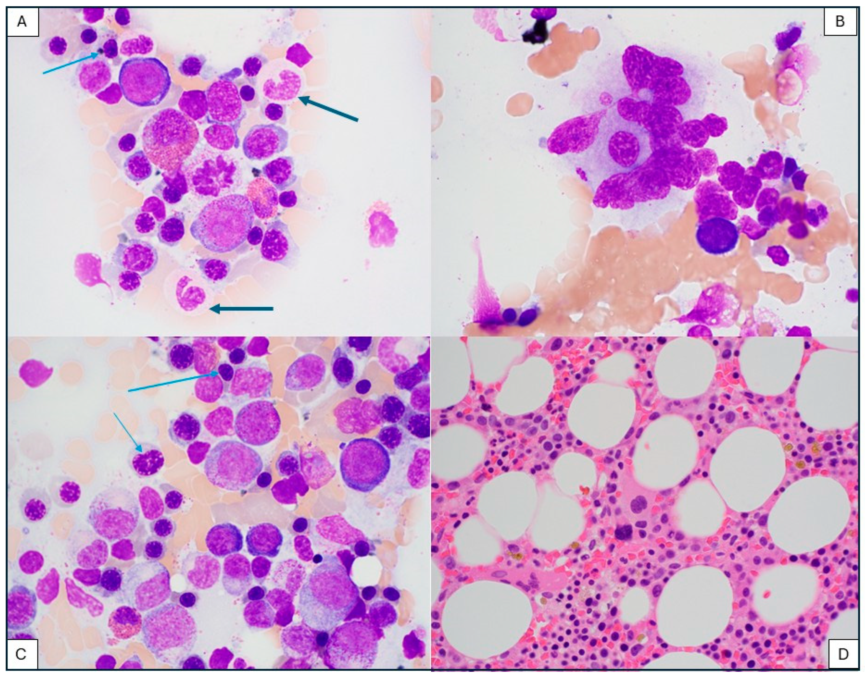 Ijms 26 08388 g006 Ijms 26 08388 g006