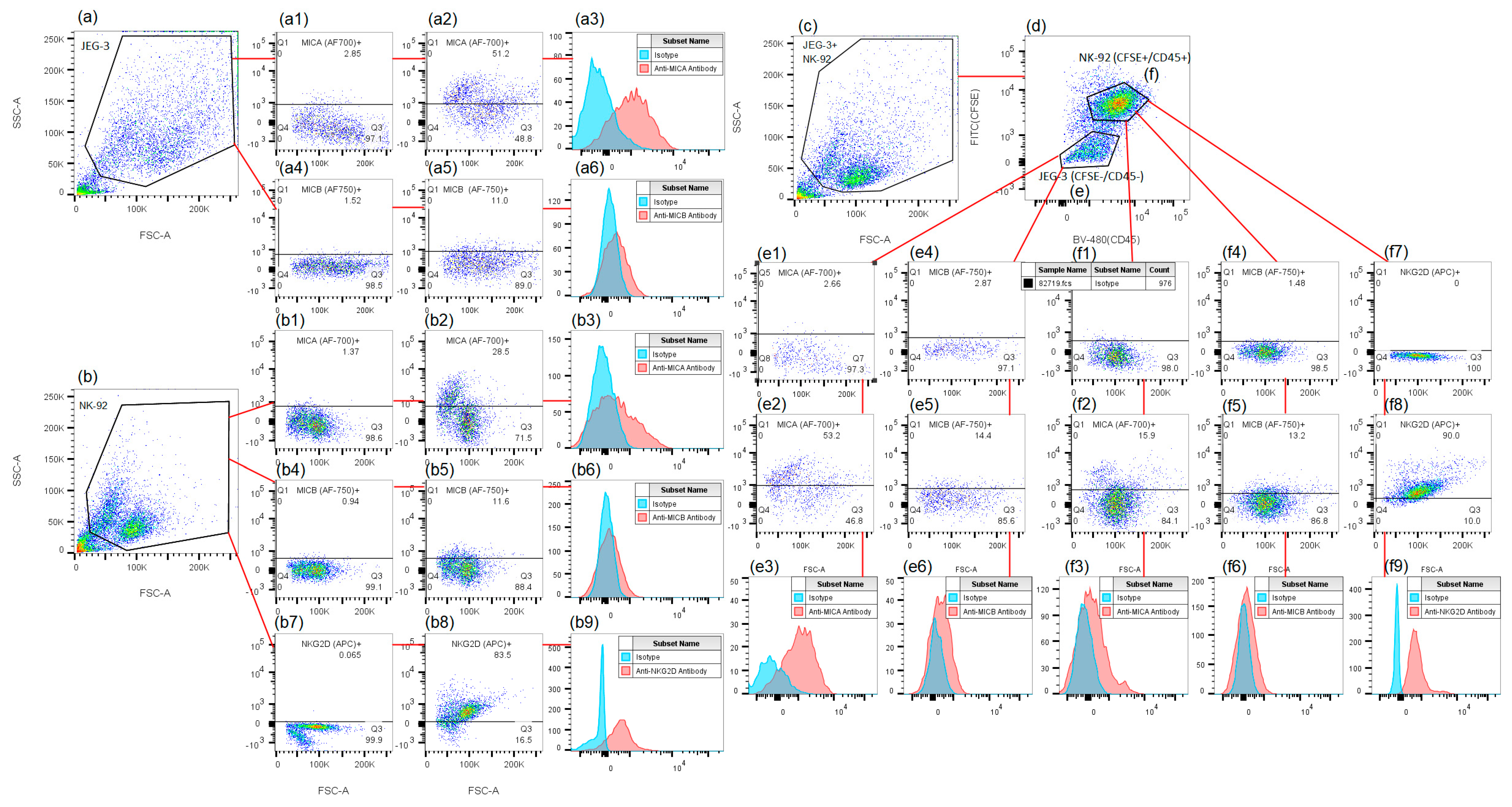 Ijms 26 08400 g005 Ijms 26 08400 g005