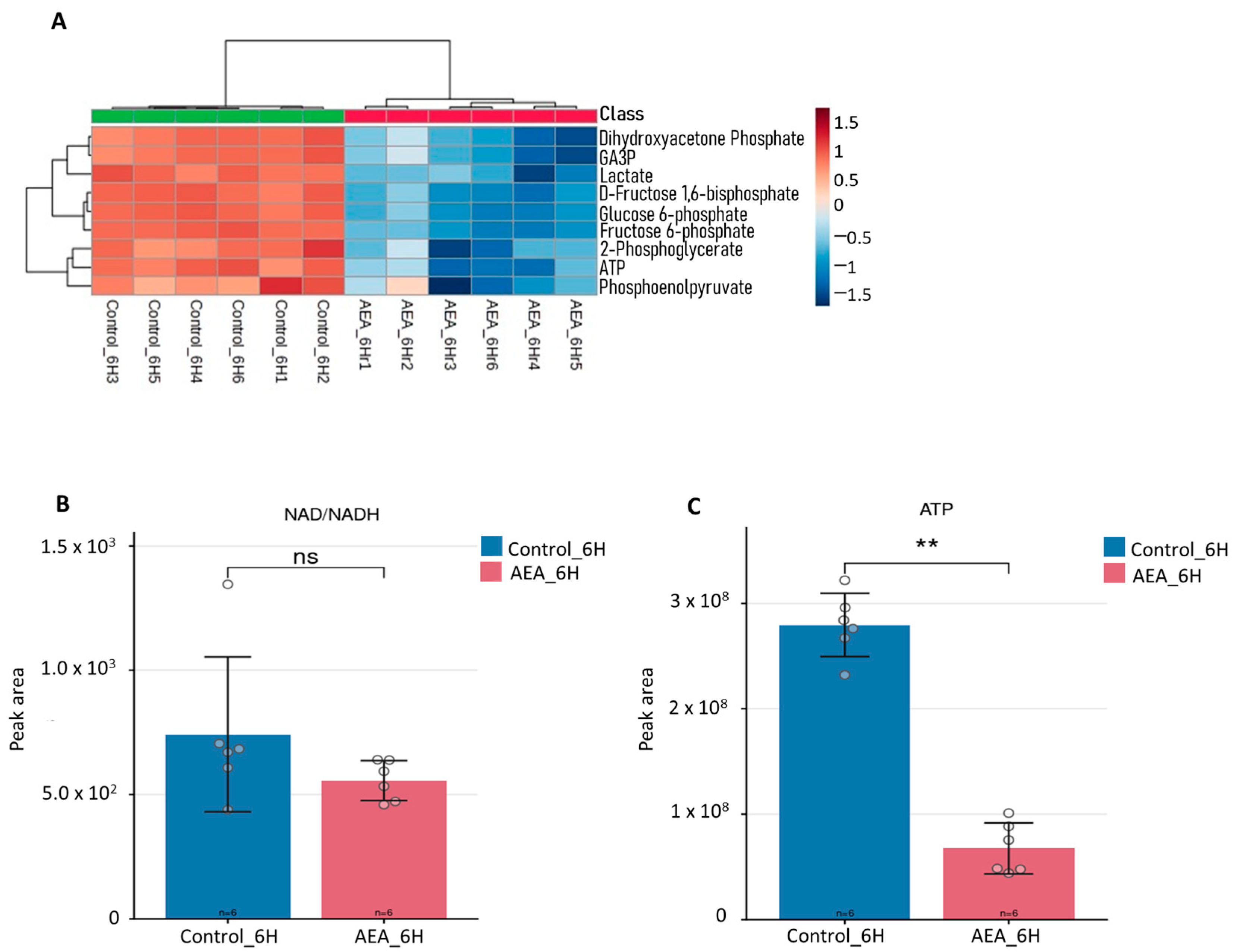 Ijms 26 08401 g002 Ijms 26 08401 g002