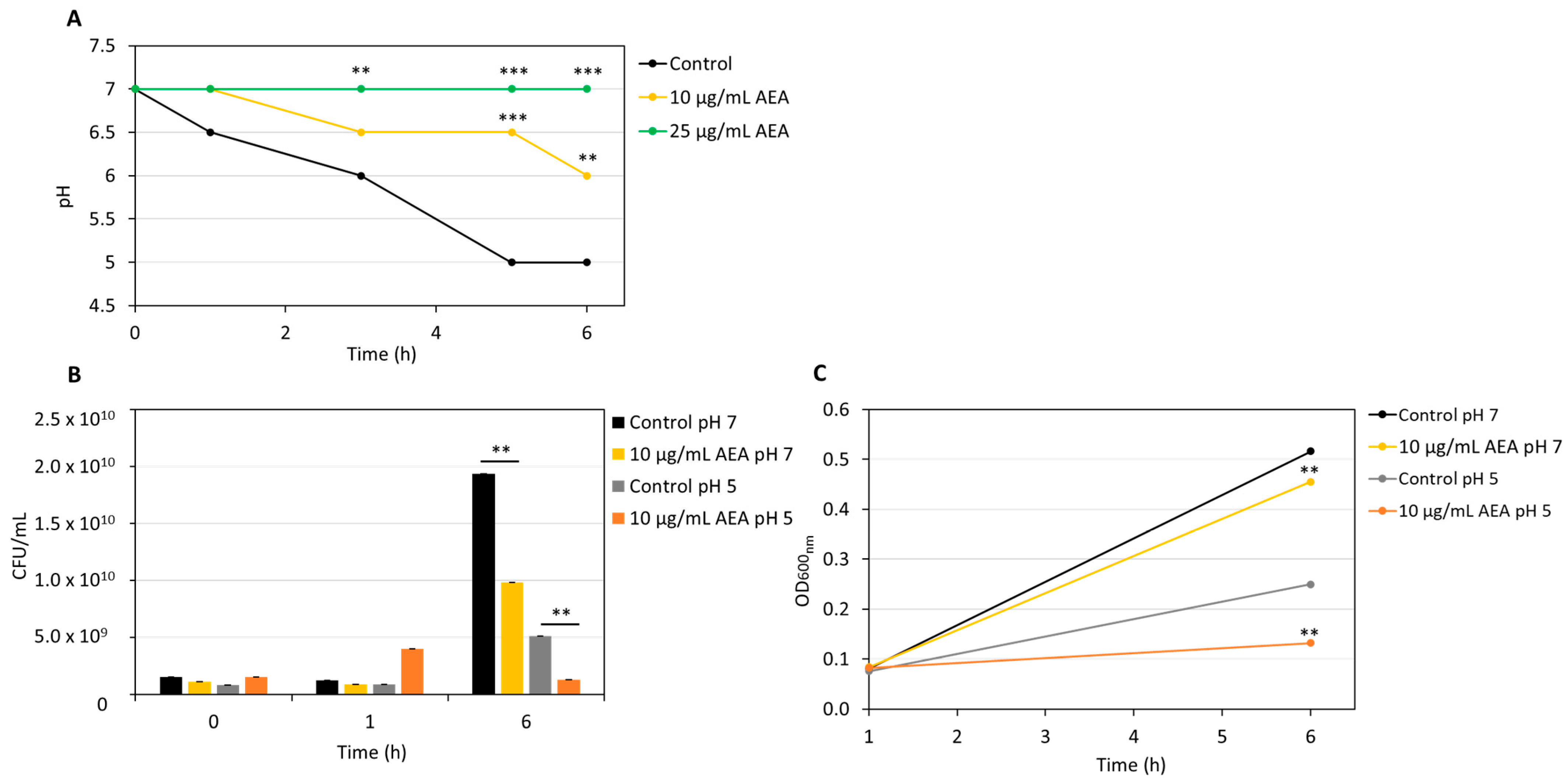 Ijms 26 08401 g007 Ijms 26 08401 g007