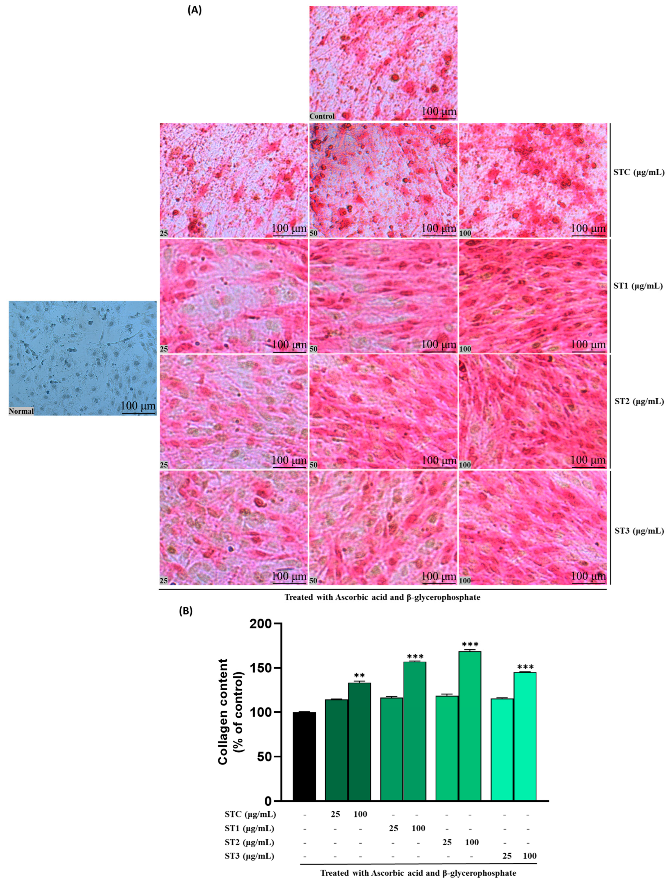 Ijms 26 08411 g004 Ijms 26 08411 g004