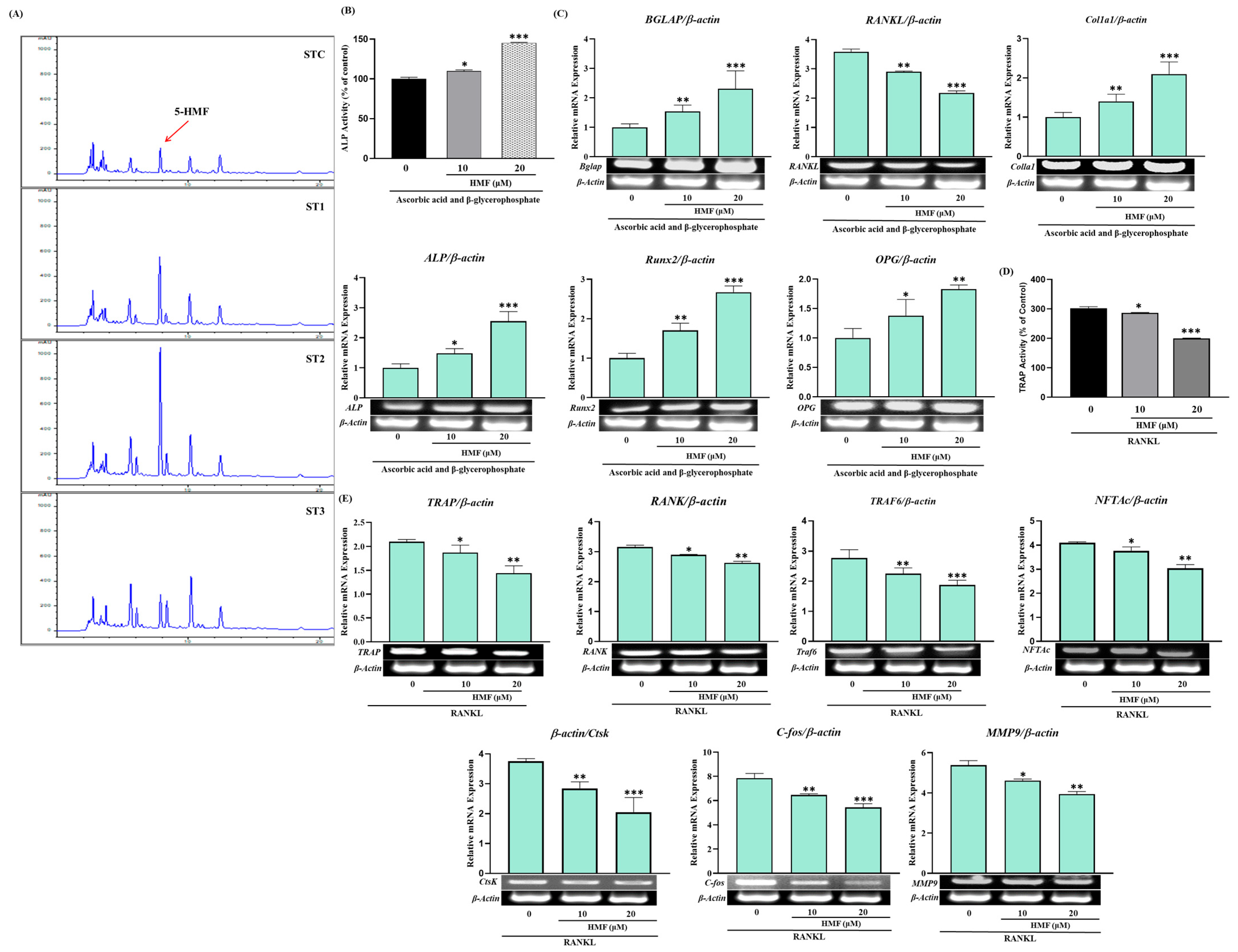 Ijms 26 08411 g008 Ijms 26 08411 g008