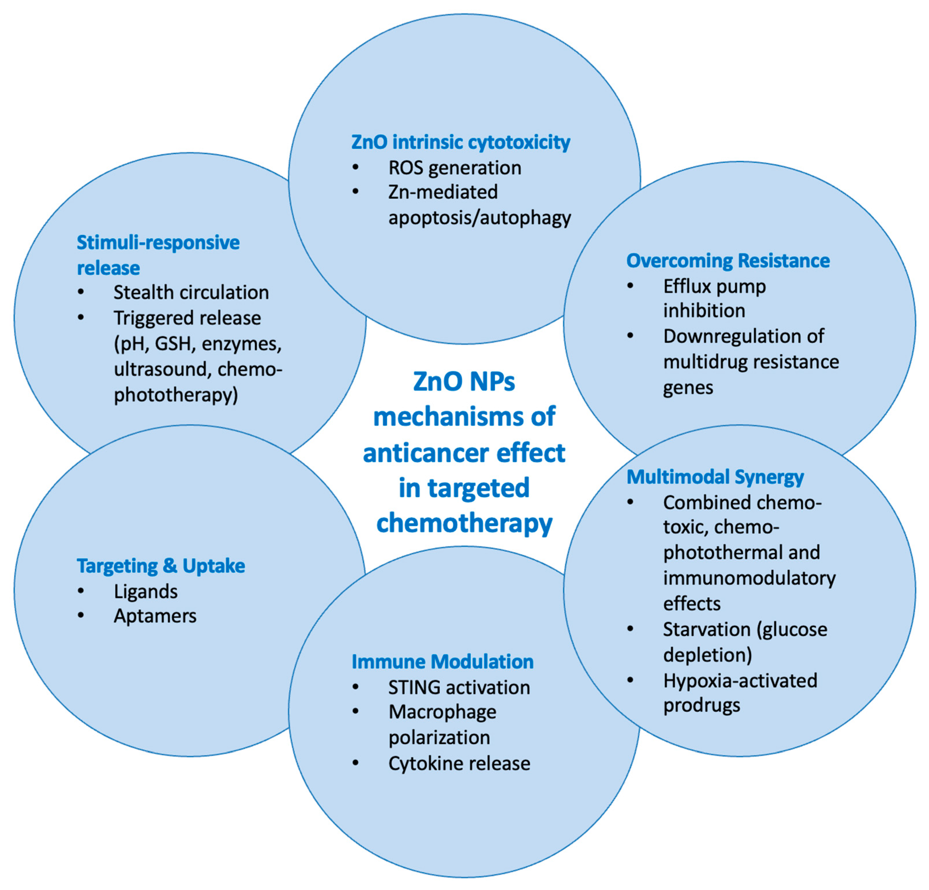 Ijms 26 08417 g003 Ijms 26 08417 g003