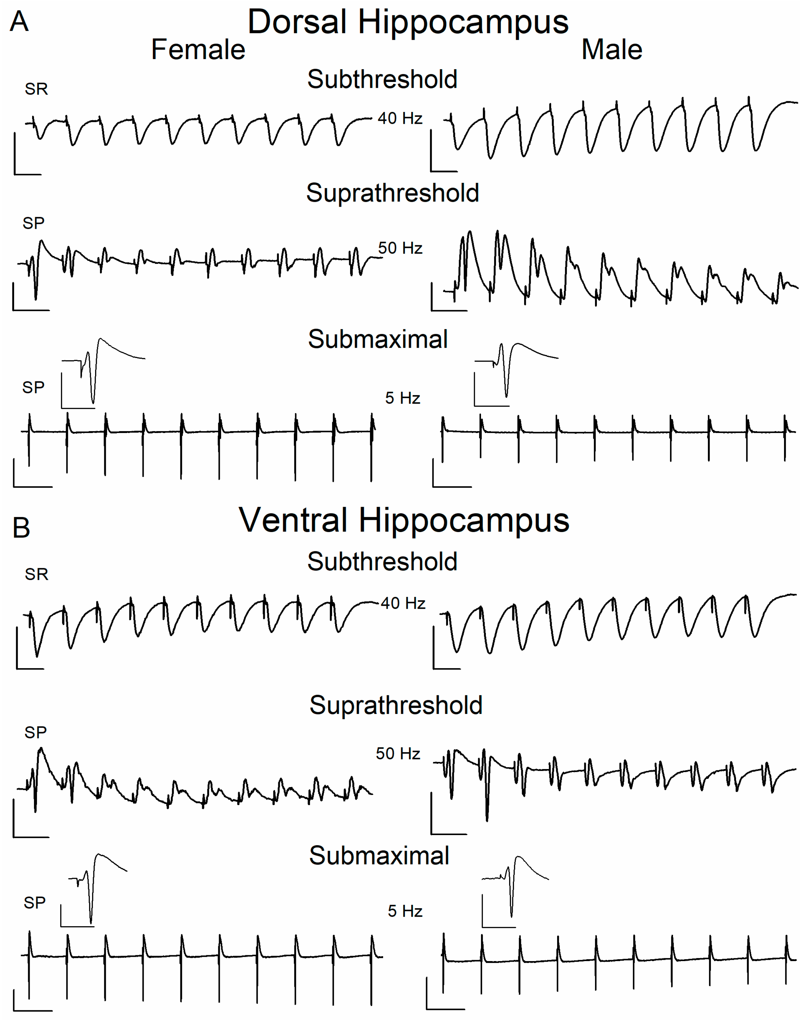 Ijms 26 08424 g003 Ijms 26 08424 g003