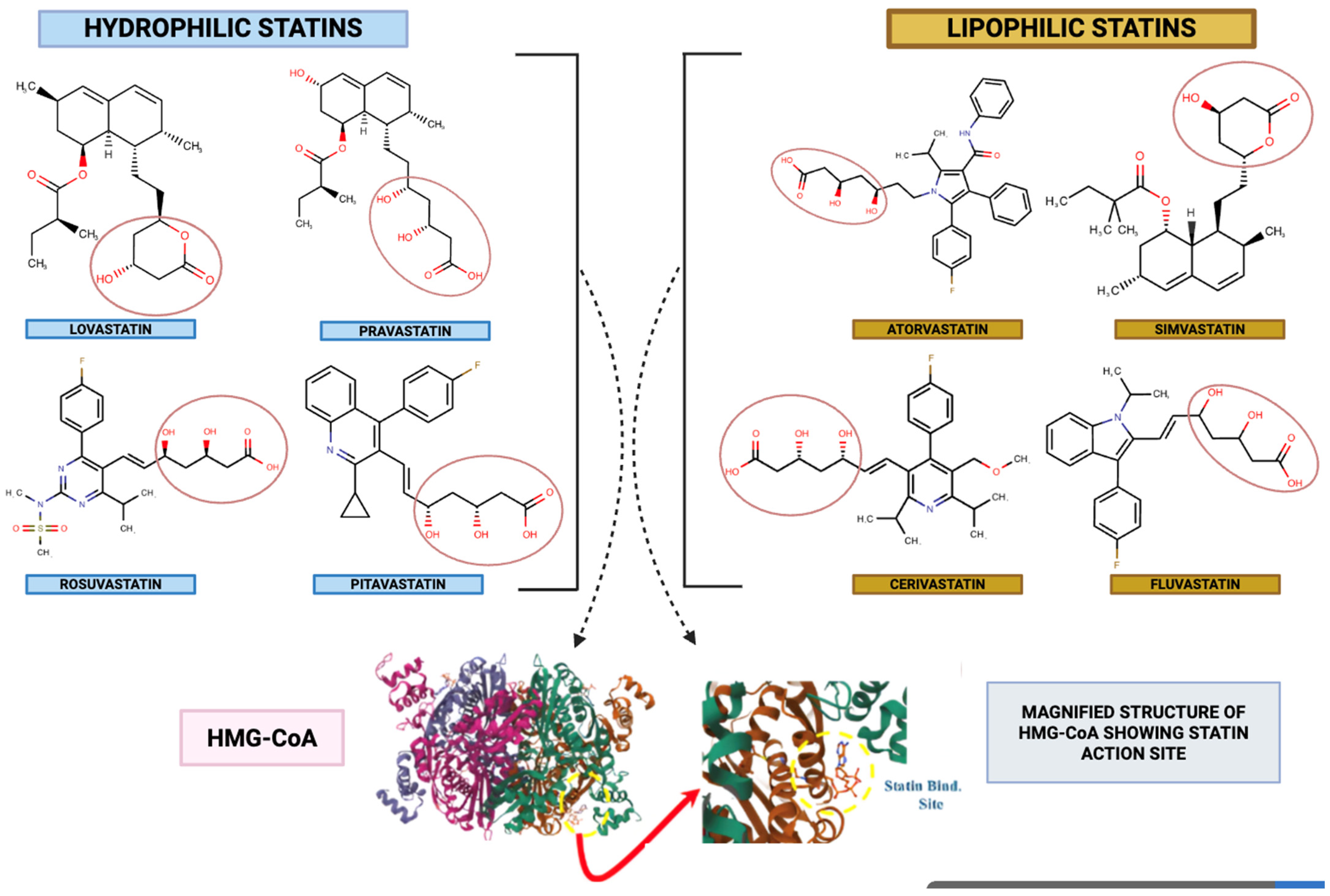 Ijms 26 08429 g002 Ijms 26 08429 g002