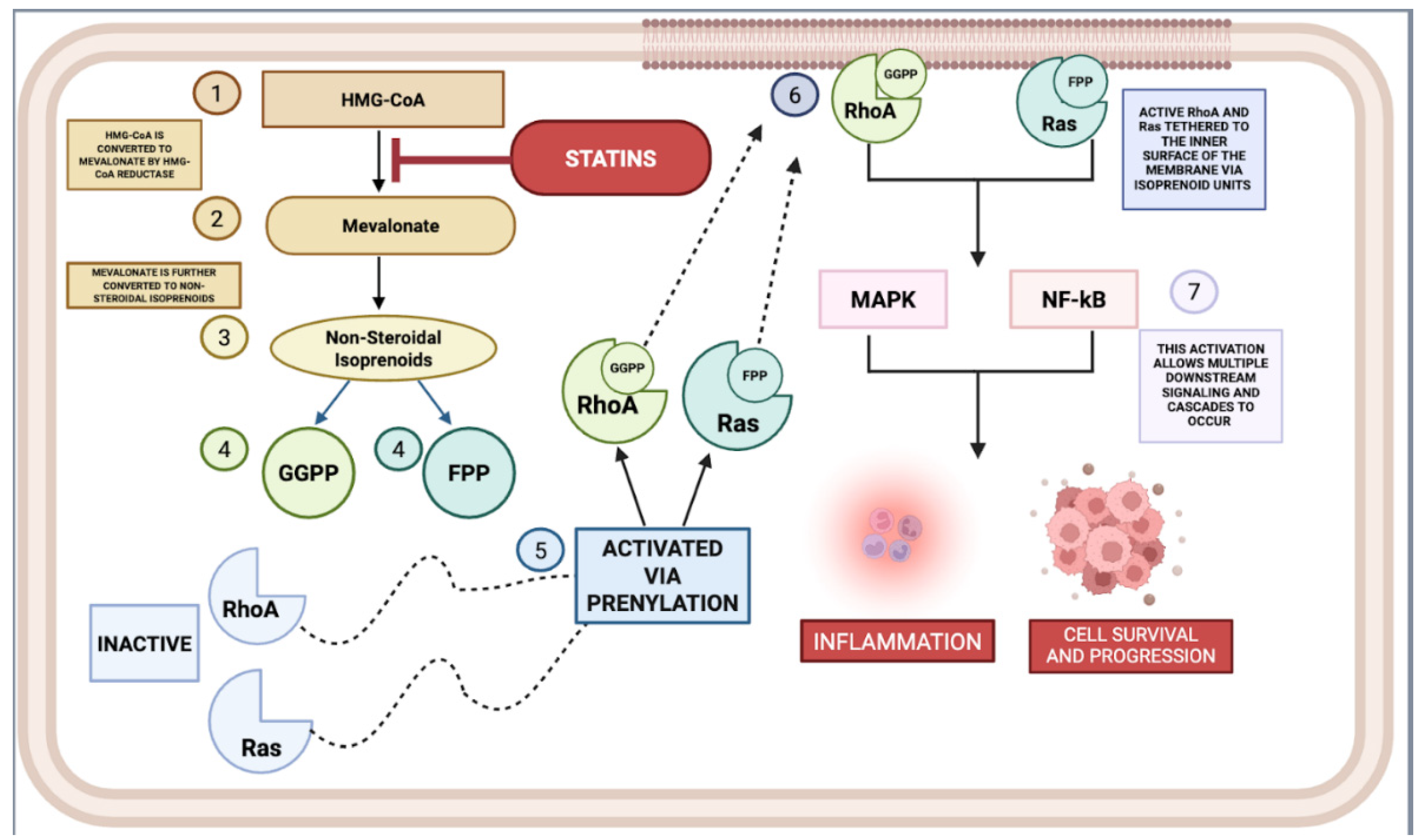 Ijms 26 08429 g003 Ijms 26 08429 g003