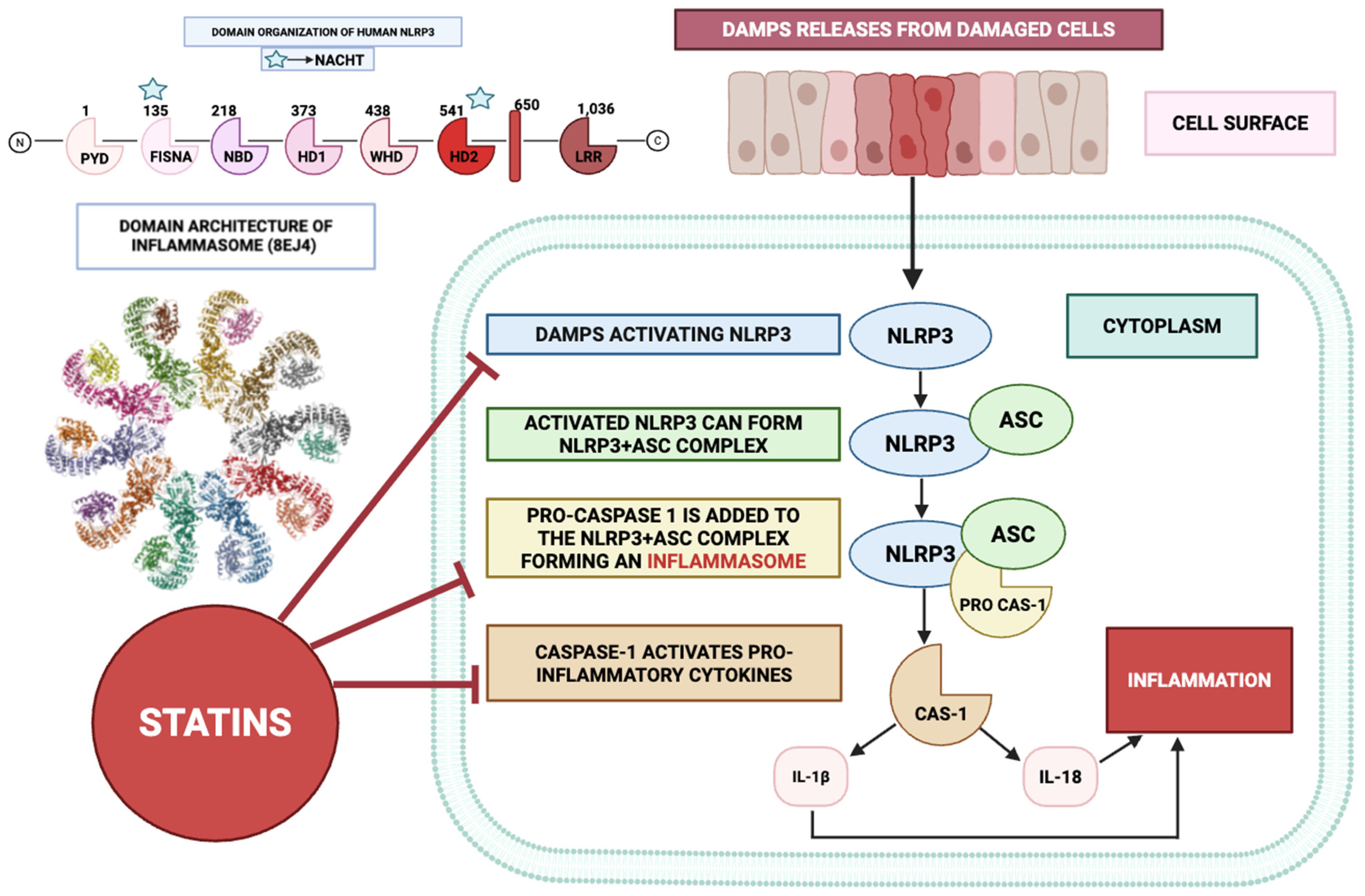 Ijms 26 08429 g004 Ijms 26 08429 g004