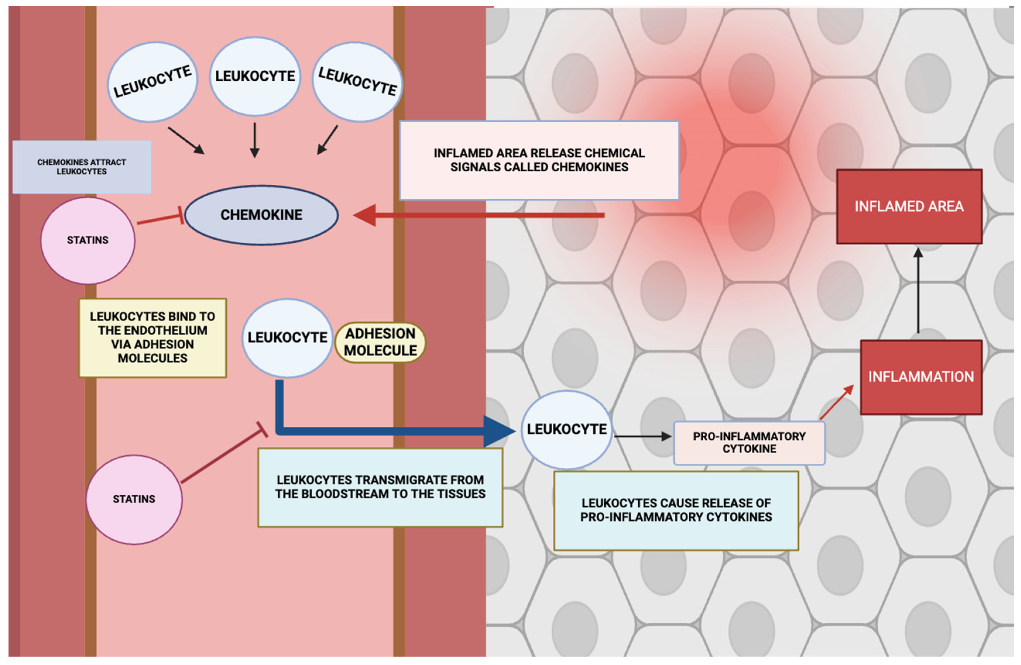 Ijms 26 08429 g008 Ijms 26 08429 g008