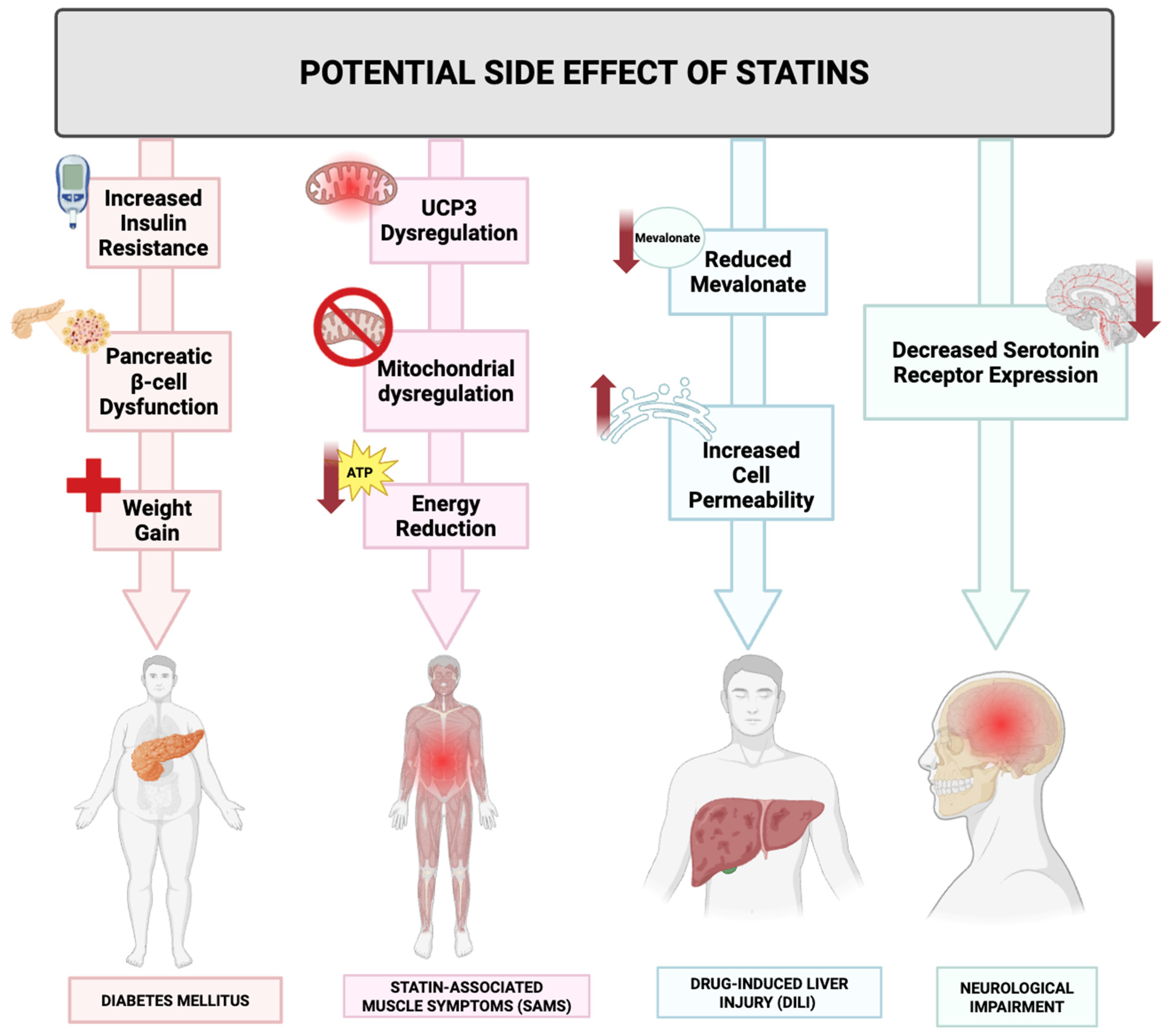 Ijms 26 08429 g010 Ijms 26 08429 g010