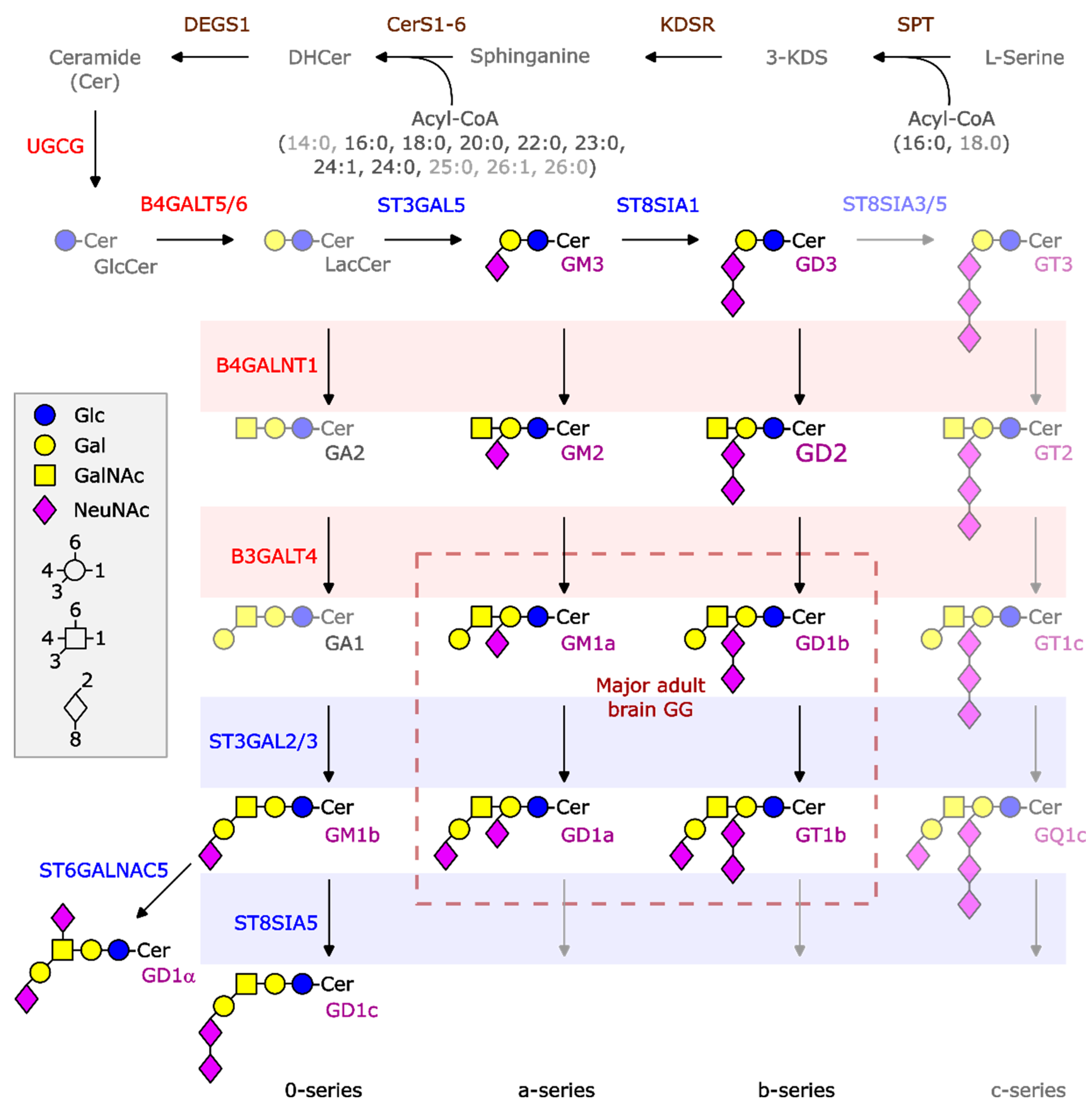 Ijms 26 08431 g001 Ijms 26 08431 g001