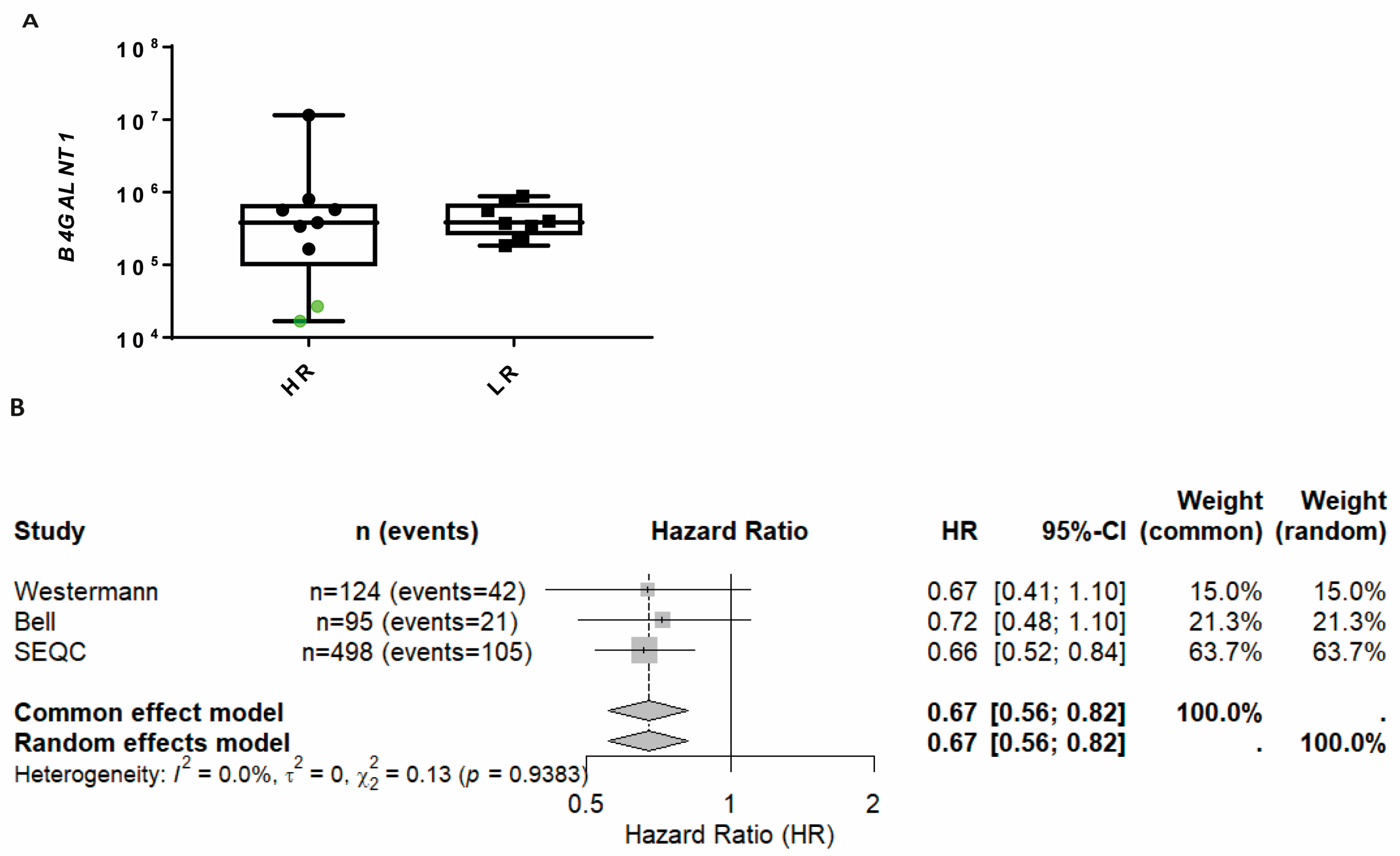 Ijms 26 08431 g004 Ijms 26 08431 g004